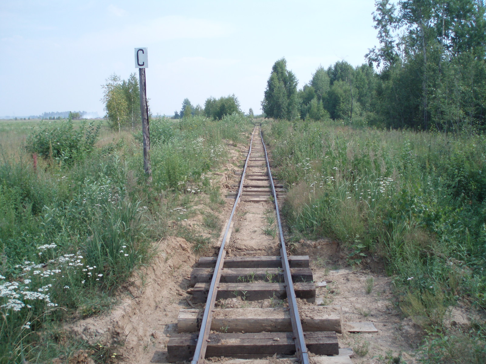 Узкоколейная железная дорога Тумского кирпичного завода - фотографии, сделанные в 2006 году (часть 6)