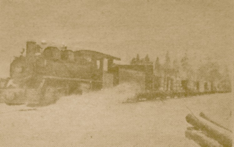 Пошехоно-Володарская узкоколейная железная дорога —  исторические фотографии