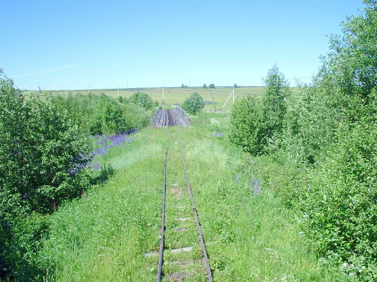Лойгинская узкоколейная железная дорога
  —  фотографии, сделанные в 2005 году (часть 5)