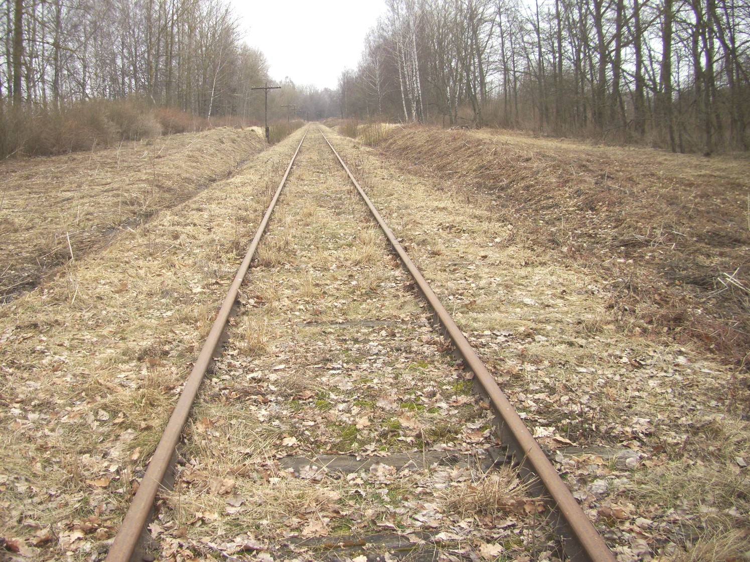 Железнодорожная линия Нестеров — Краснолесье
  —  фотографии, сделанные в 2011 году (часть 6)