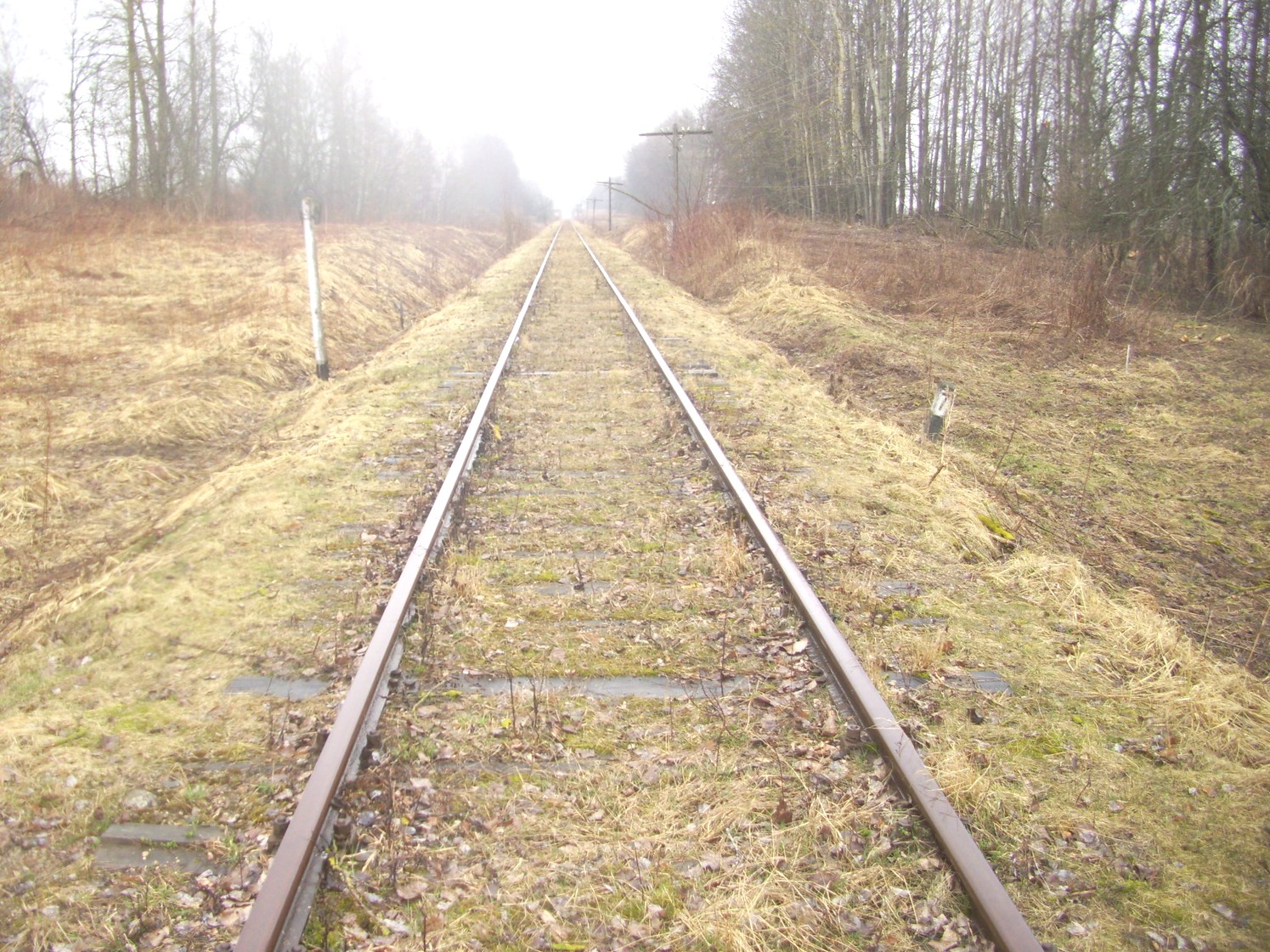 Железнодорожная линия Нестеров — Краснолесье
  —  фотографии, сделанные в 2011 году (часть 7)