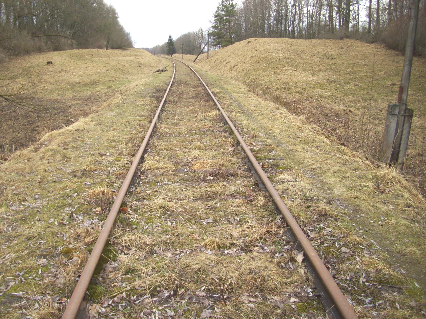Железнодорожная линия Нестеров — Краснолесье
  —  фотографии, сделанные в 2011 году (часть 9)