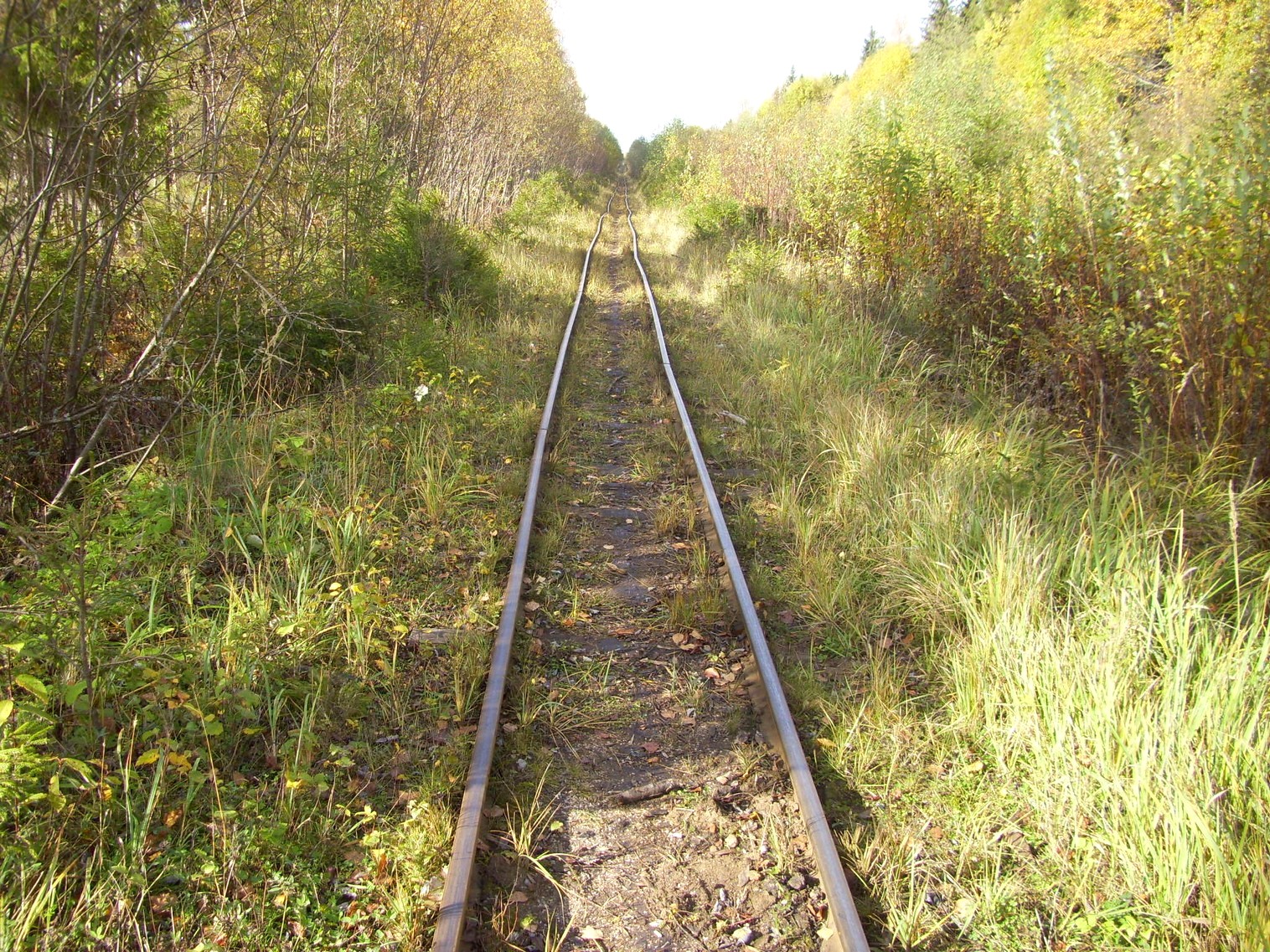 Семигородняя узкоколейная железная дорога
  —  фотографии, сделанные в 2010 году (часть 11)