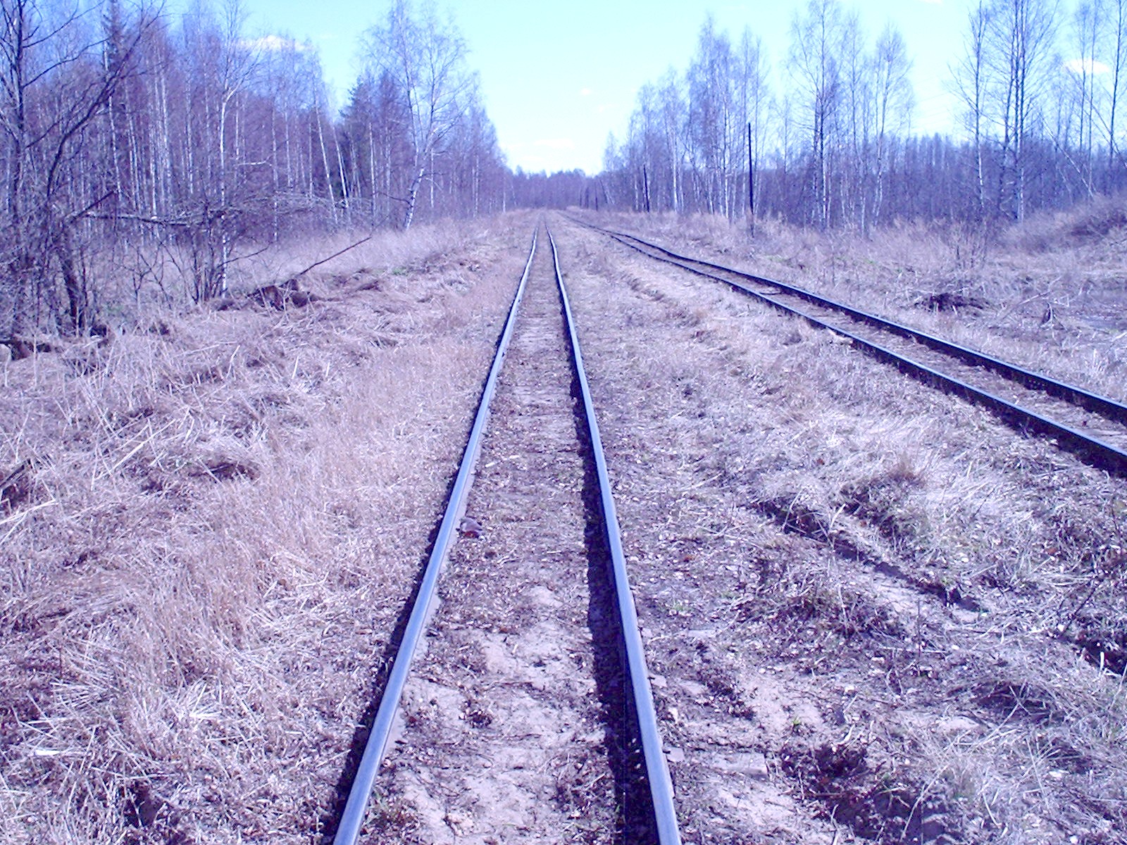 Узкоколейная железная дорога Мокеиха-Зыбинского торфопредприятия — фотографии, сделанные в 2006 году (часть 15)