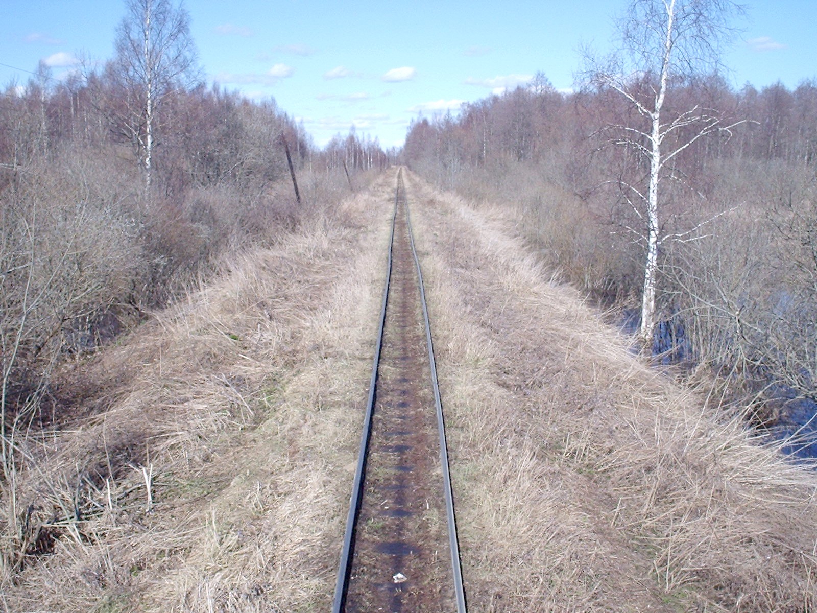 Узкоколейная железная дорога Мокеиха-Зыбинского торфопредприятия — фотографии, сделанные в 2006 году (часть 17)