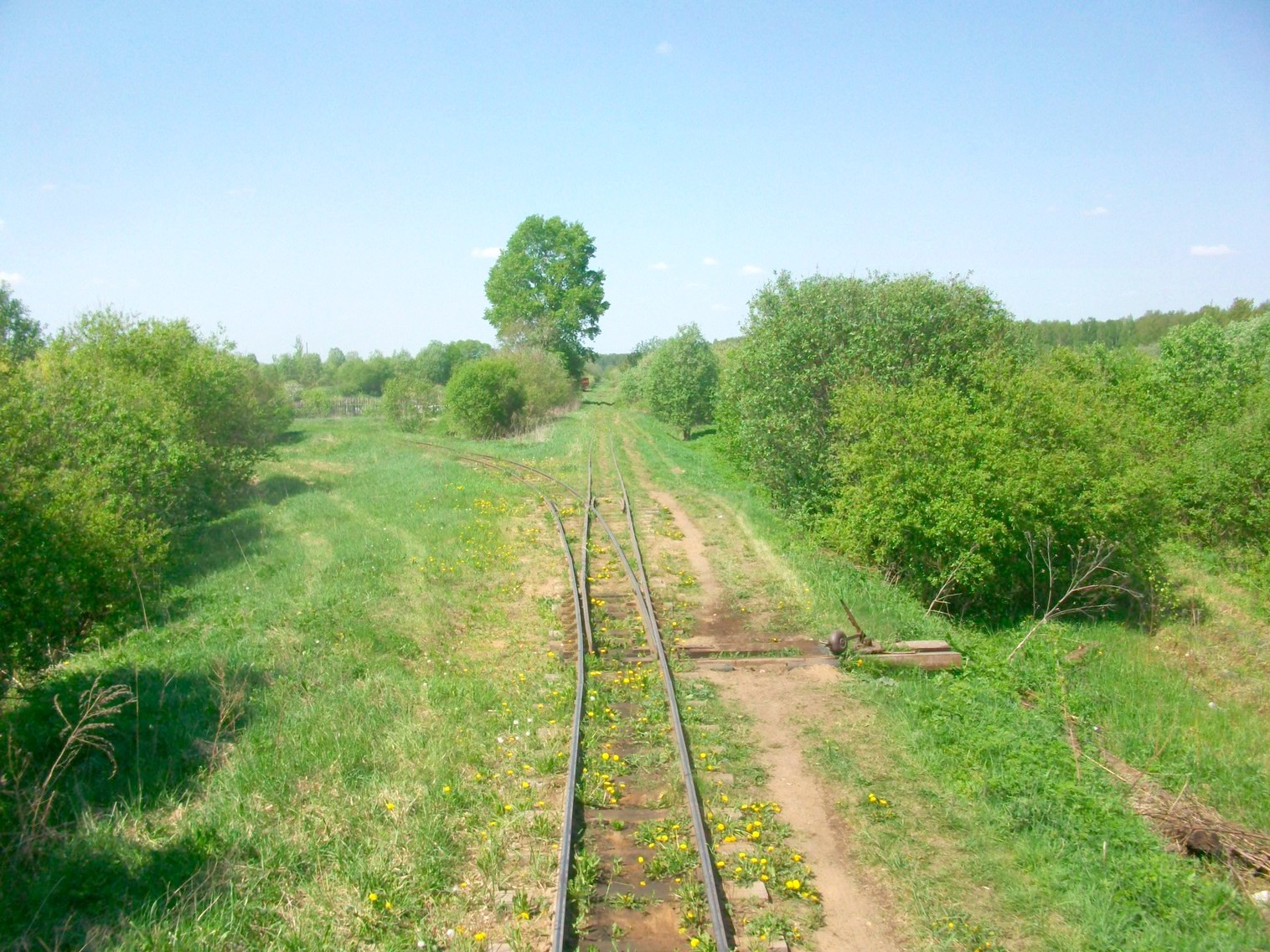 Узкоколейная железная дорога Мокеиха-Зыбинского торфопредприятия
  —  фотографии, сделанные в 2014 году (часть 14)