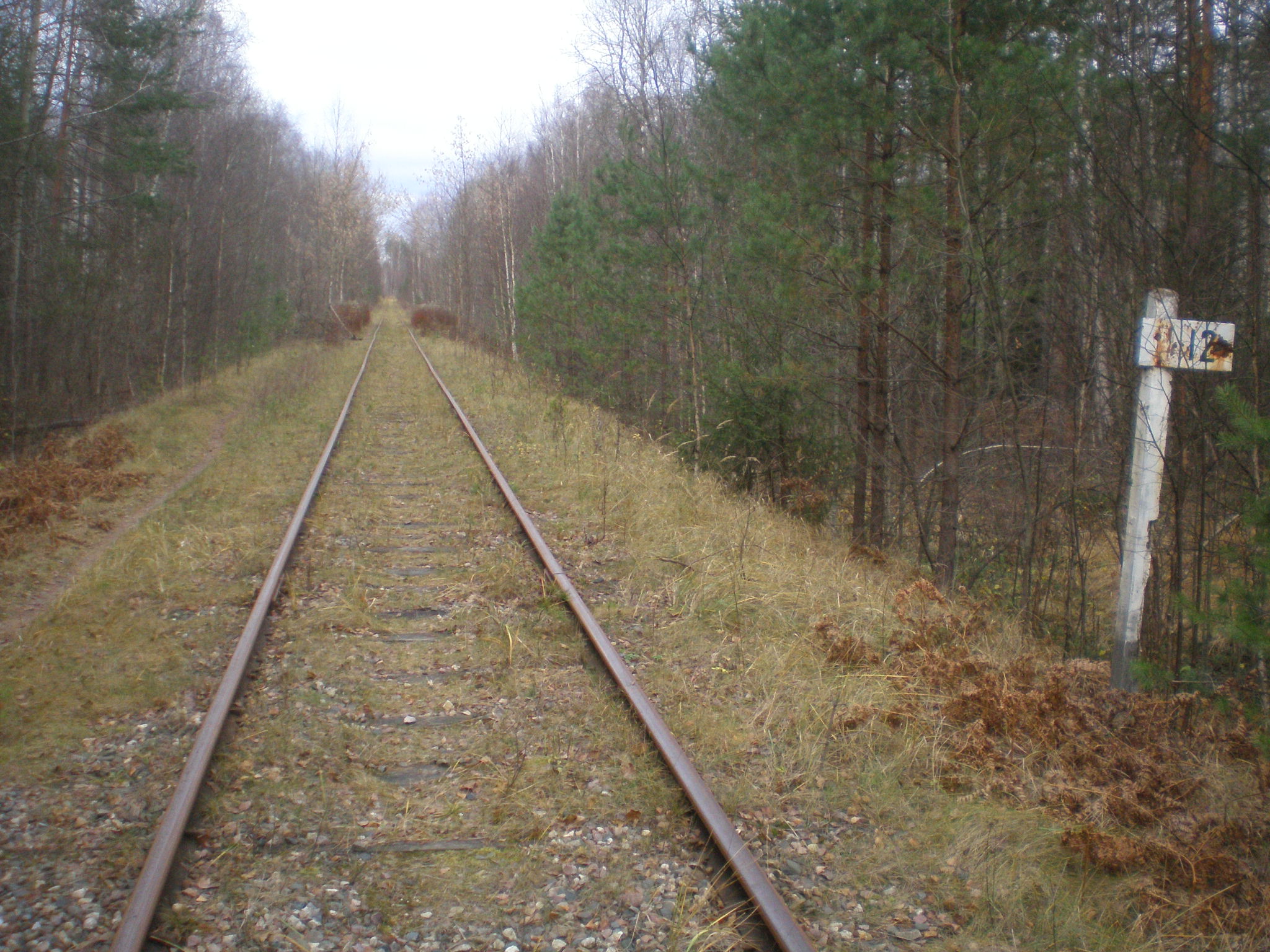 Железнодорожная линия Кривандино — Мишеронь  —  фотографии, сделанные в 2008 году (часть 13)