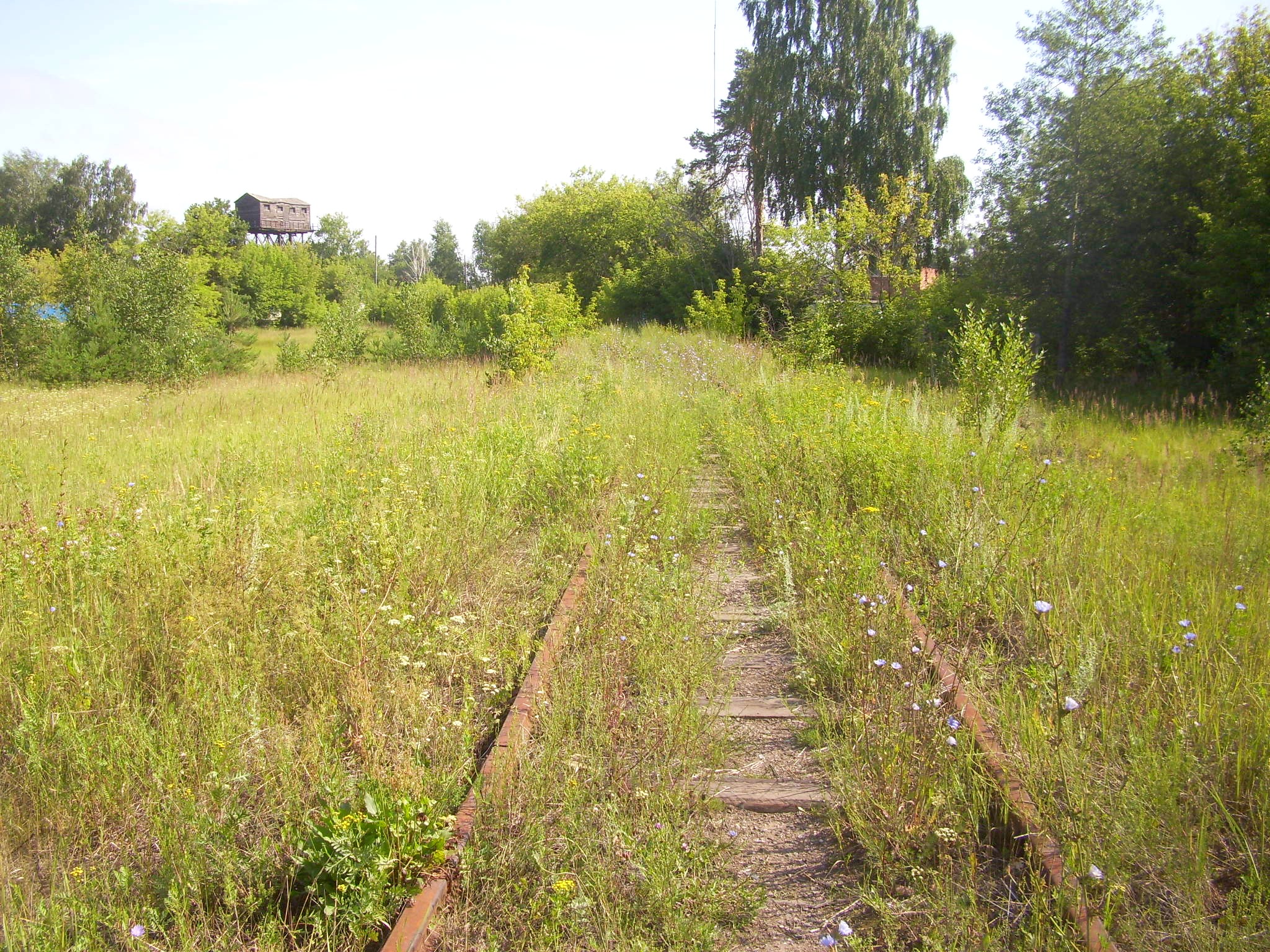 Железнодорожная линия Кривандино — Мишеронь  —  фотографии, сделанные в 2011 году (часть 1)