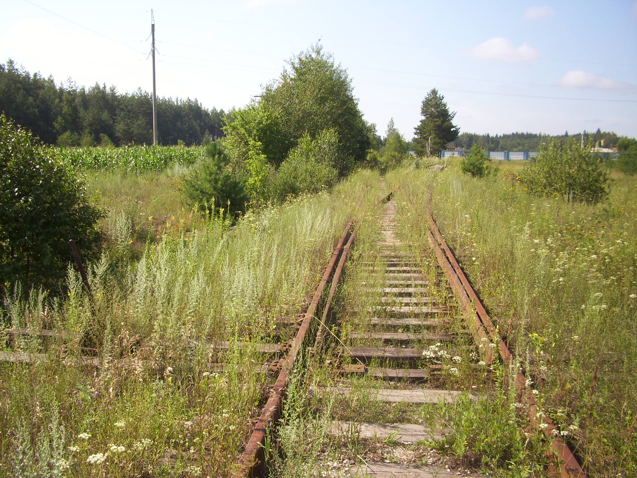 Железнодорожная линия Кривандино — Мишеронь  —  фотографии, сделанные в 2011 году (часть 2)