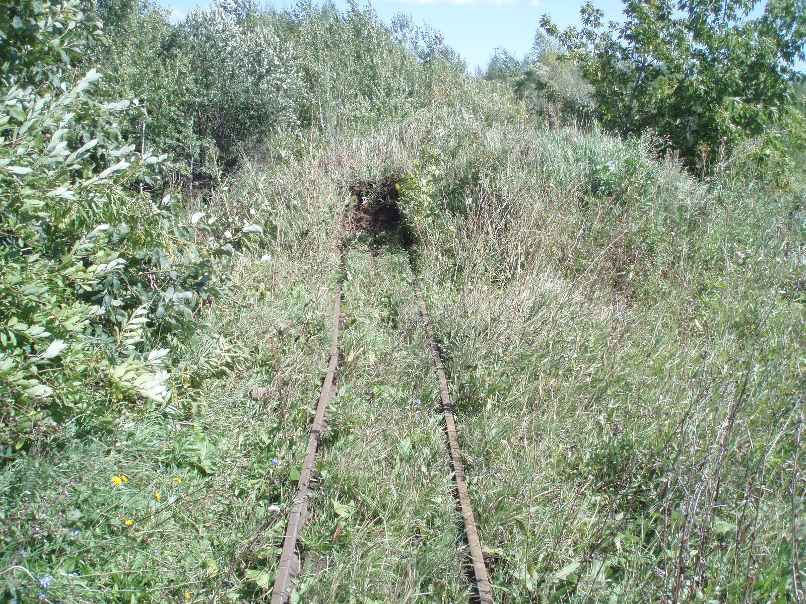 Узкоколейная железная дорога Михайловского кирпичного завода — фотографии, сделанные в 2006 году (часть 2)