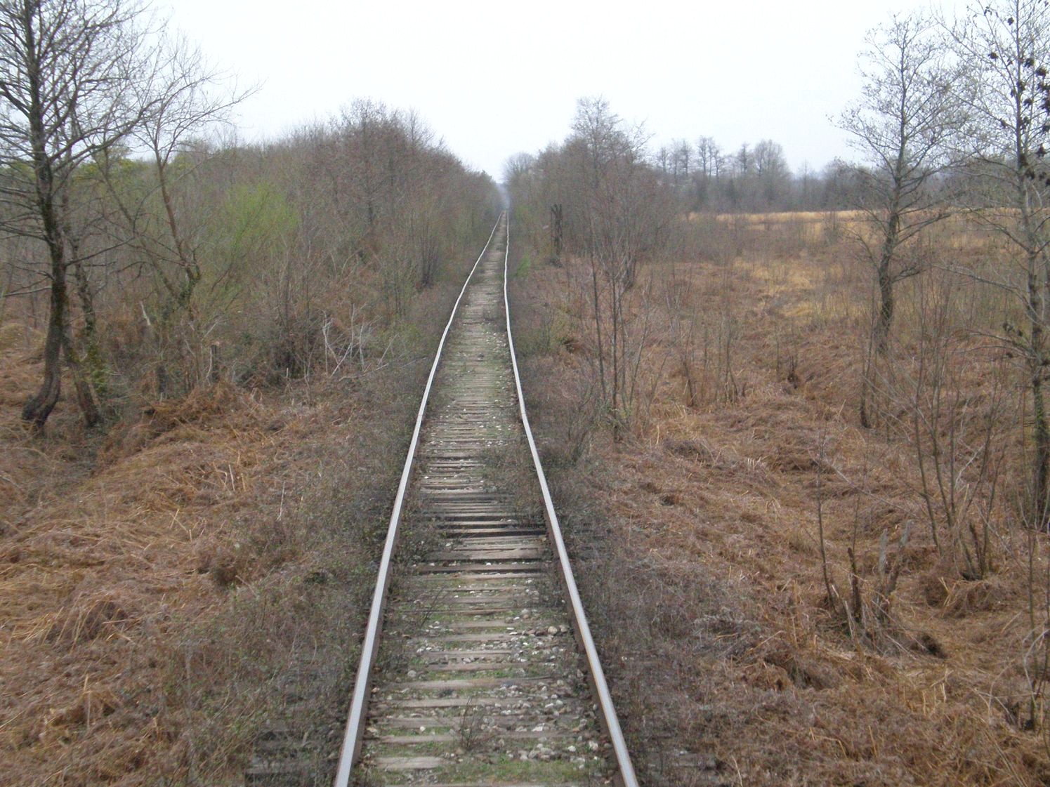 Абхазская железная дорога — фотографии, сделанные в 2008 году (часть 14)