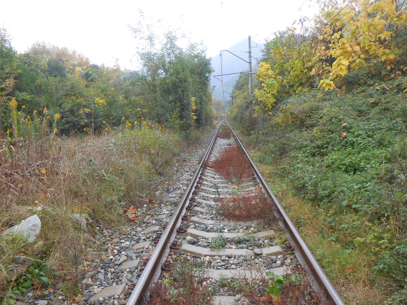 Абхазская железная дорога — фотографии, сделанные в 2014 году (часть 10)