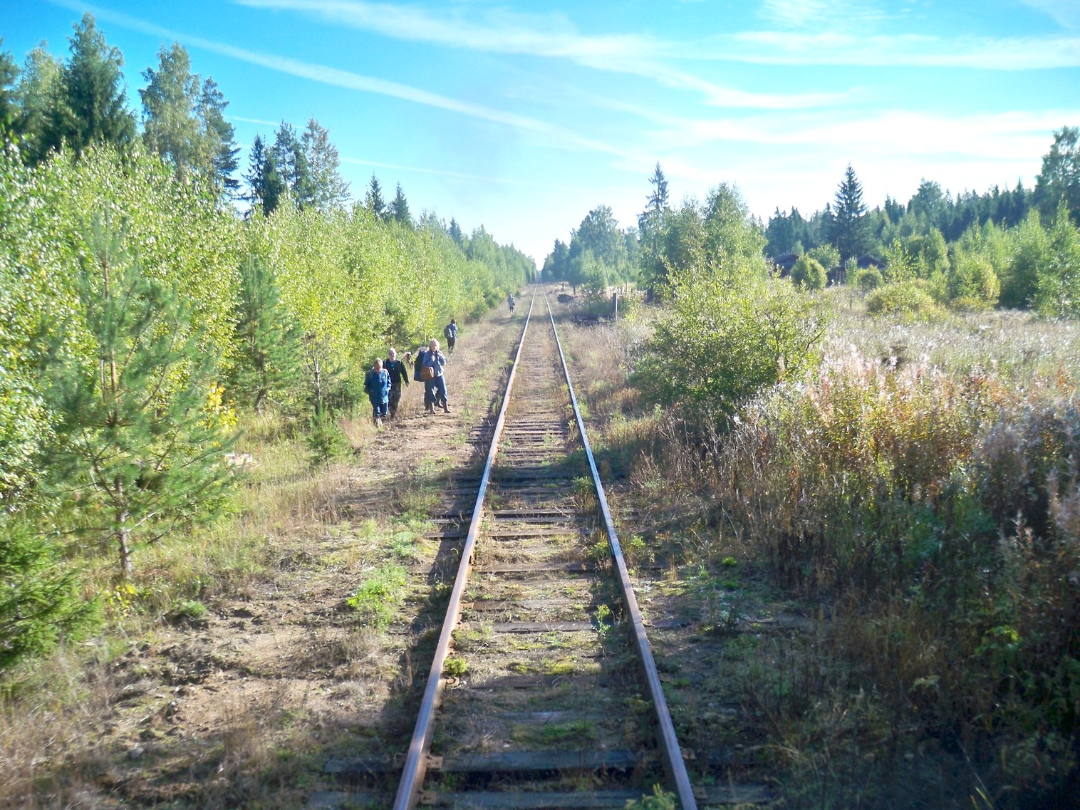 Железнодорожная линия Будогощь — Тихвин — фотографии, сделанные в 2013 году (часть 4)