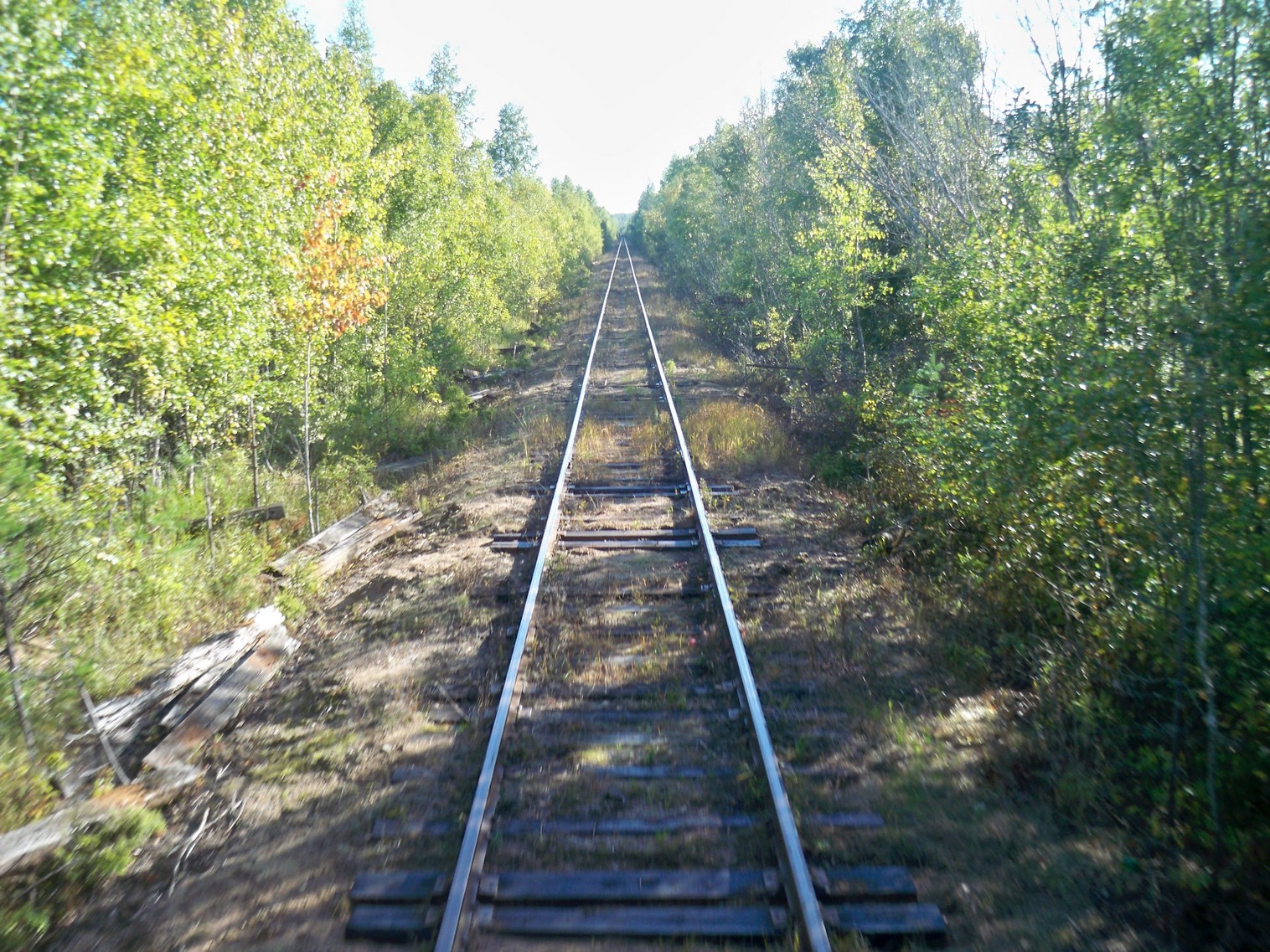 Железнодорожная линия Будогощь — Тихвин — фотографии, сделанные в 2013 году (часть 5)