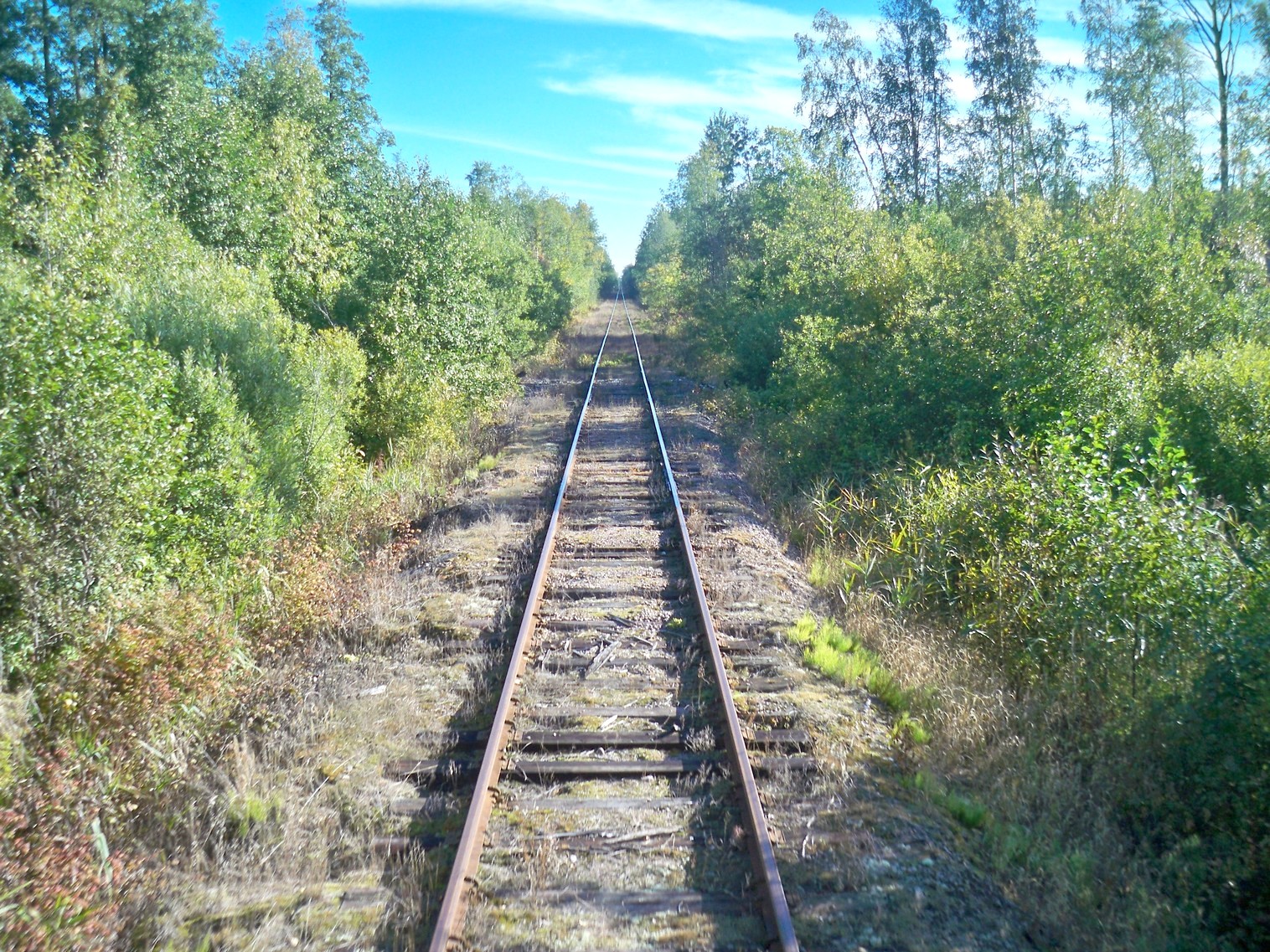 Железнодорожная линия Будогощь — Тихвин — фотографии, сделанные в 2013 году (часть 6)