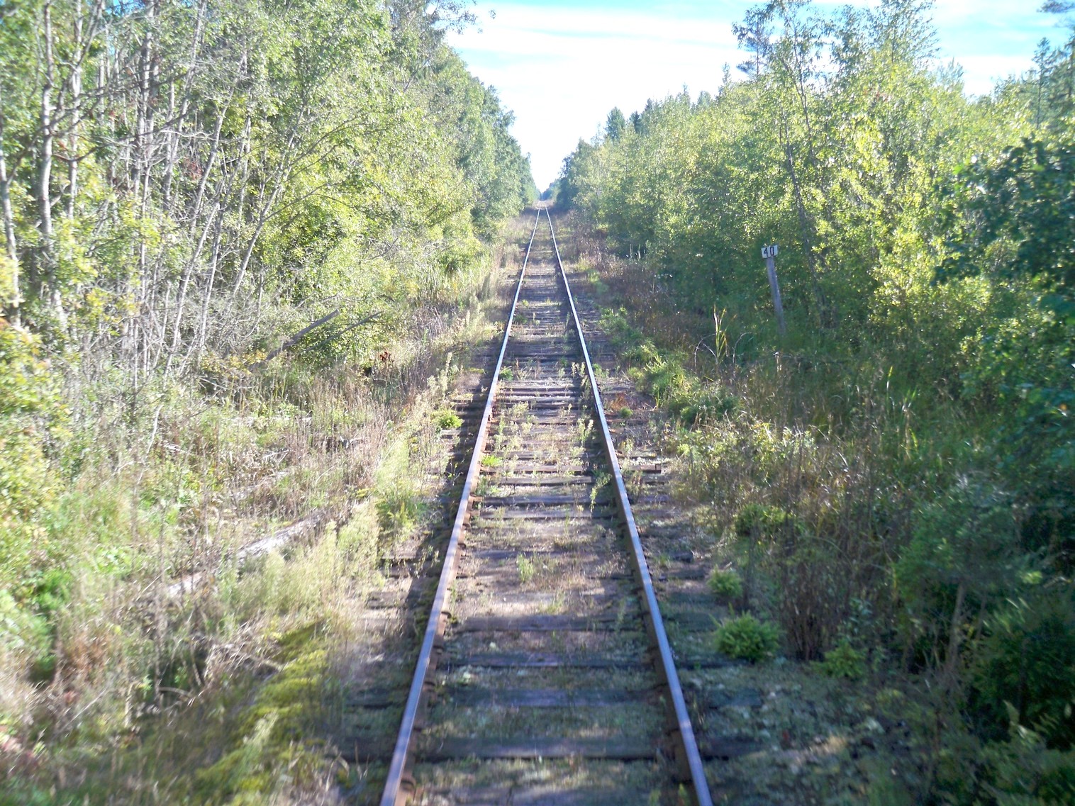 Железнодорожная линия Будогощь — Тихвин — фотографии, сделанные в 2013 году (часть 7)