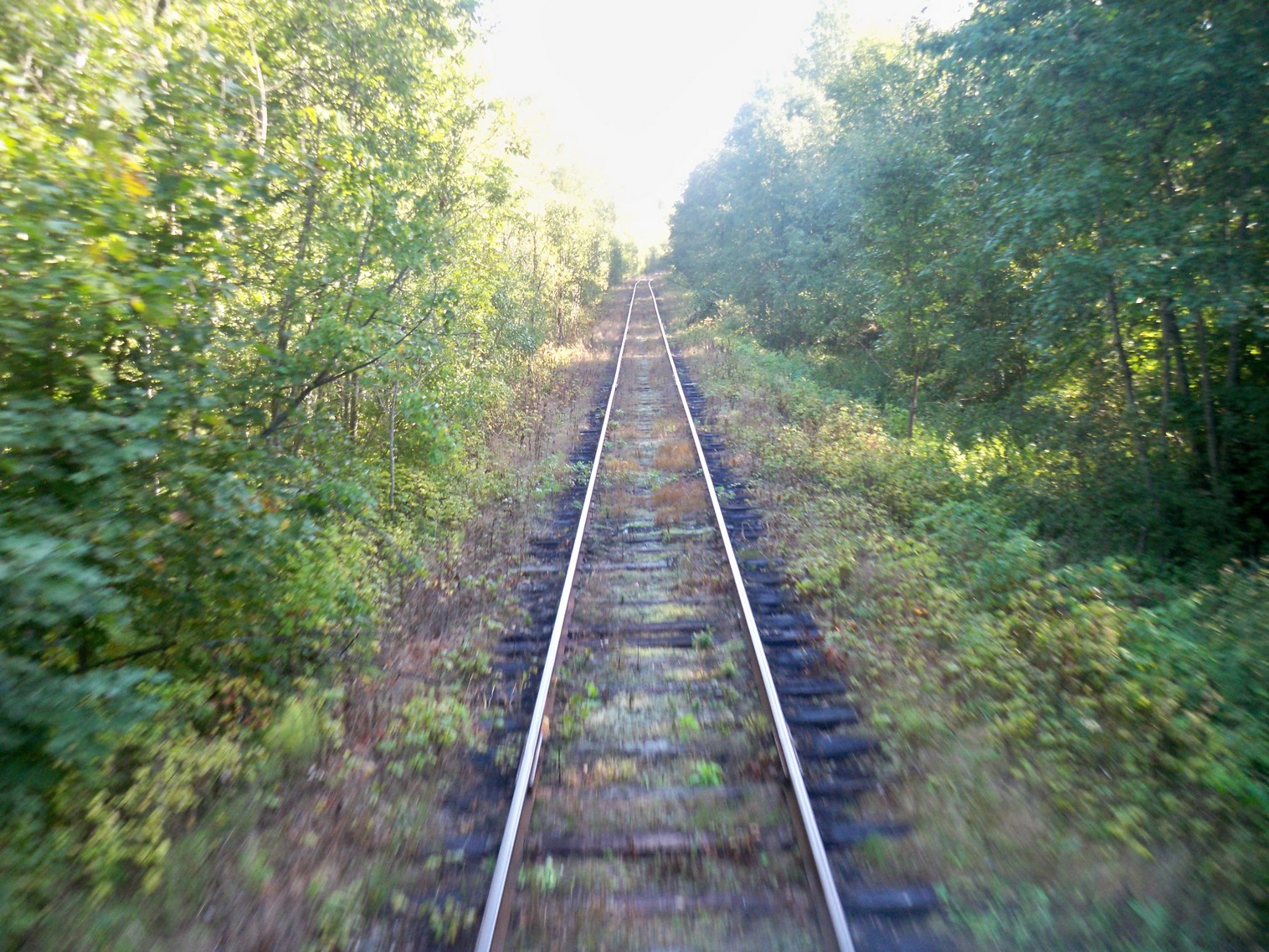 Железнодорожная линия Будогощь — Тихвин — фотографии, сделанные в 2013 году (часть 8)