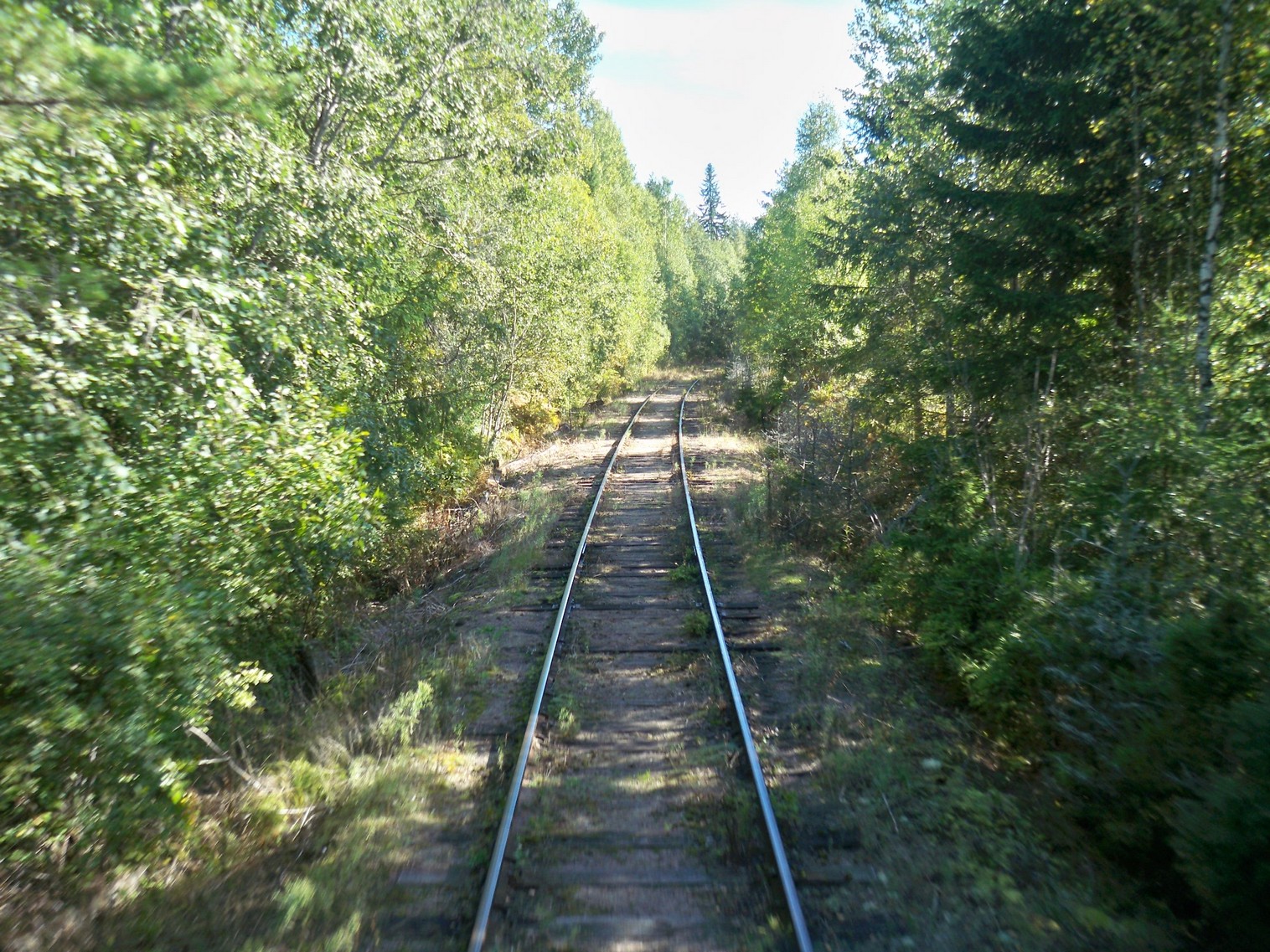 Железнодорожная линия Будогощь — Тихвин — фотографии, сделанные в 2013 году (часть 9)