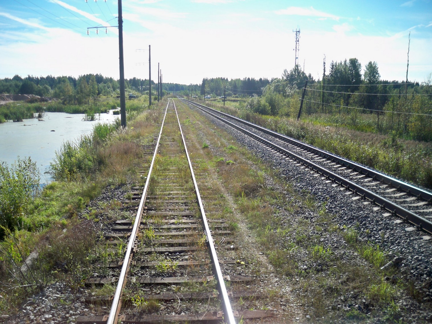 Железнодорожная линия Будогощь — Тихвин — фотографии, сделанные в 2013 году (часть 10)
