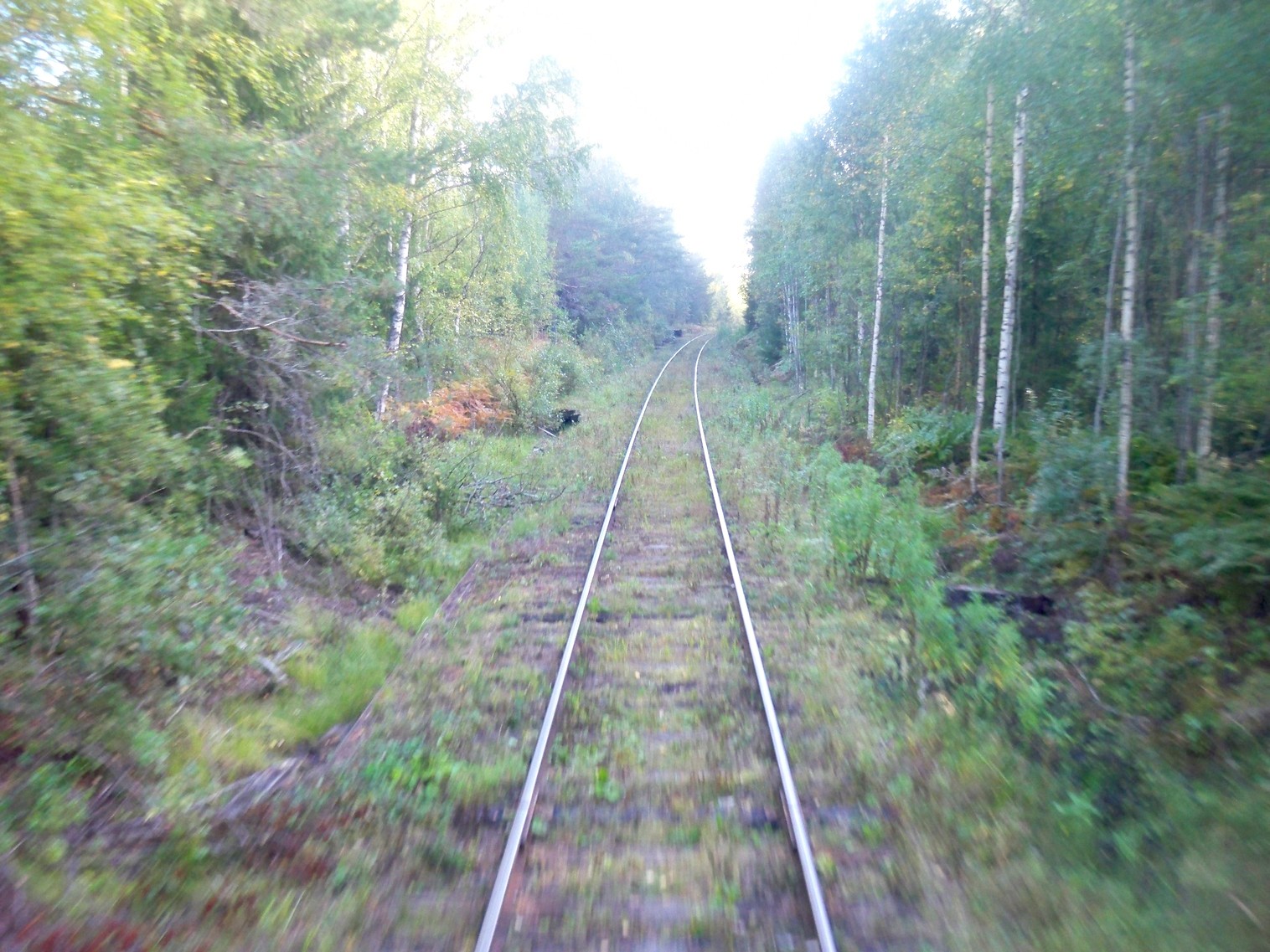 Железнодорожная линия Будогощь — Тихвин — фотографии, сделанные в 2013 году (часть 2)