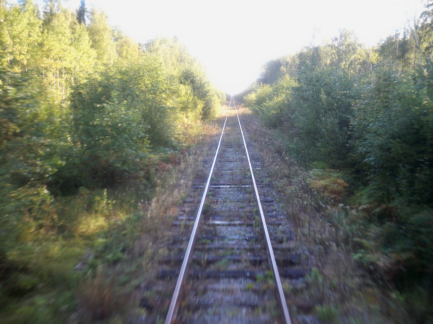 Железнодорожная линия Будогощь — Тихвин — фотографии, сделанные в 2013 году (часть 3)
