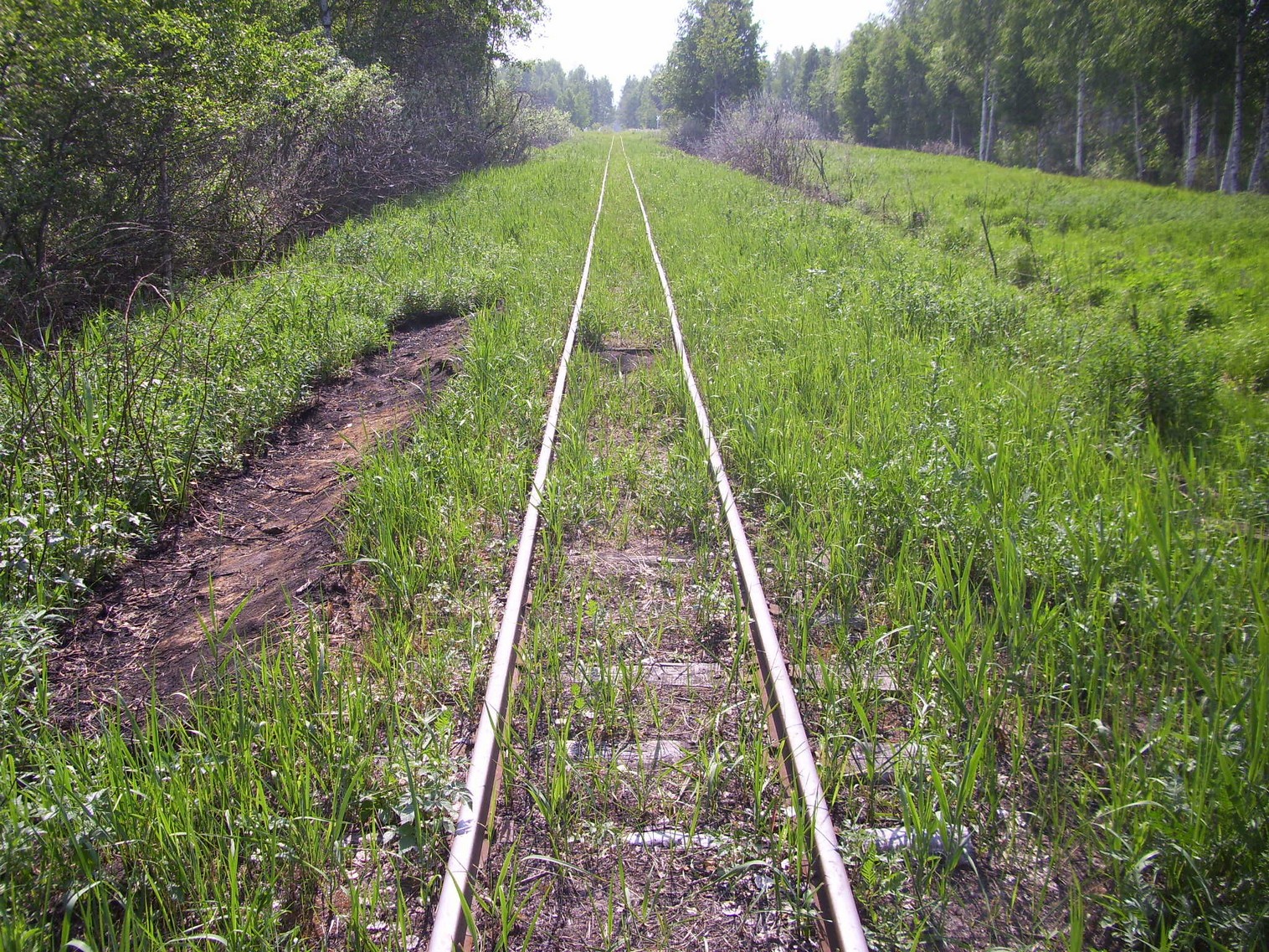 Узкоколейная железная дорога Гусевского предприятия промышленного железнодорожного транспорта
  —  фотографии, сделанные в 2011 году (часть 8)