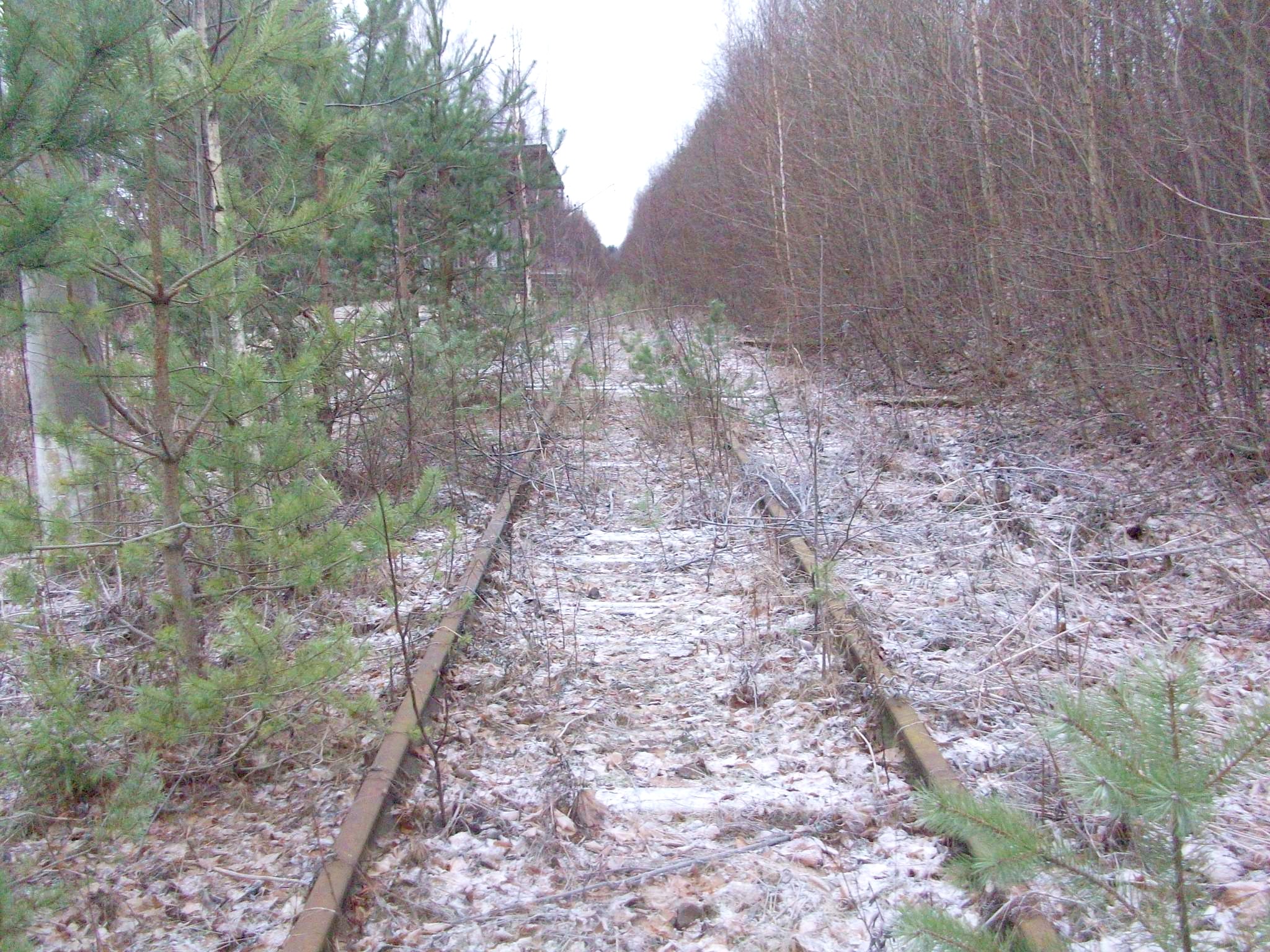 Железнодорожная линия Лебяжье — Краснофлотск — фотографии, сделанные в 2015 году (часть 3)