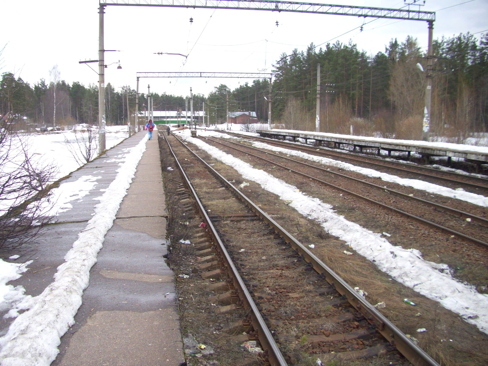 Железнодорожная линия Вырица — Посёлок —  фотографии, сделанные в 2011  году
