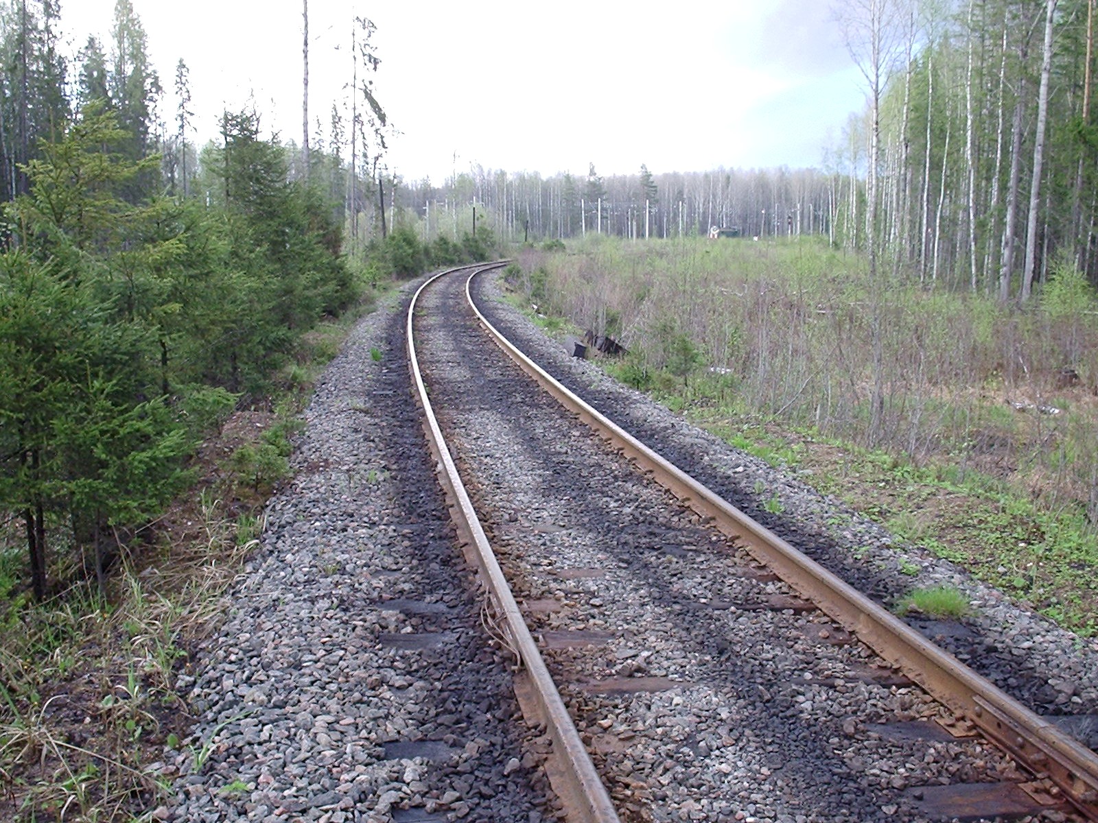 Железнодорожная линия Подборовье  —  Кабожа  — фотографии, сделанные в 2005 году (часть 2)