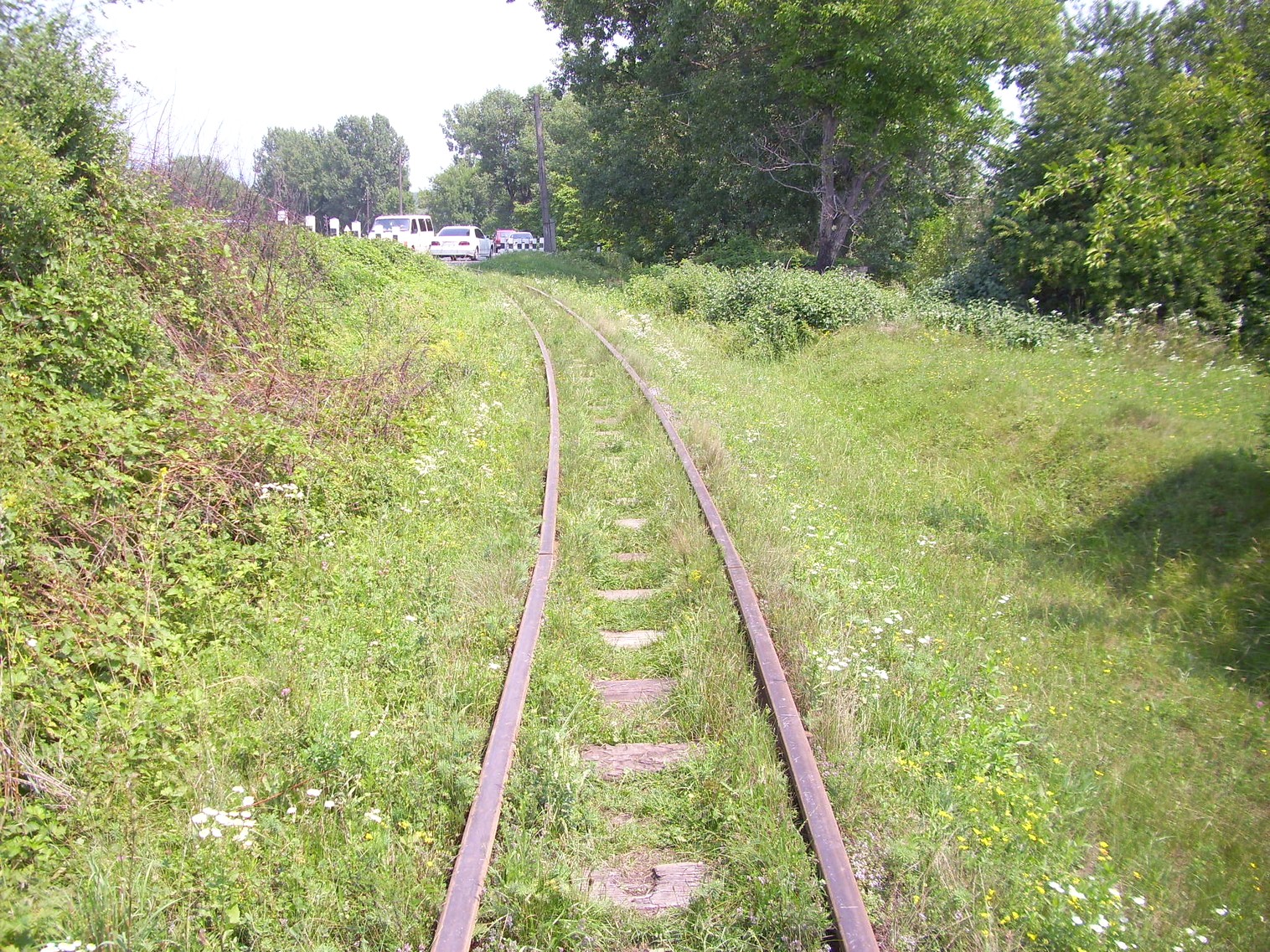 Боржавская узкоколейная железная дорога
  —  фотографии, сделанные в 2011 году (часть 13)