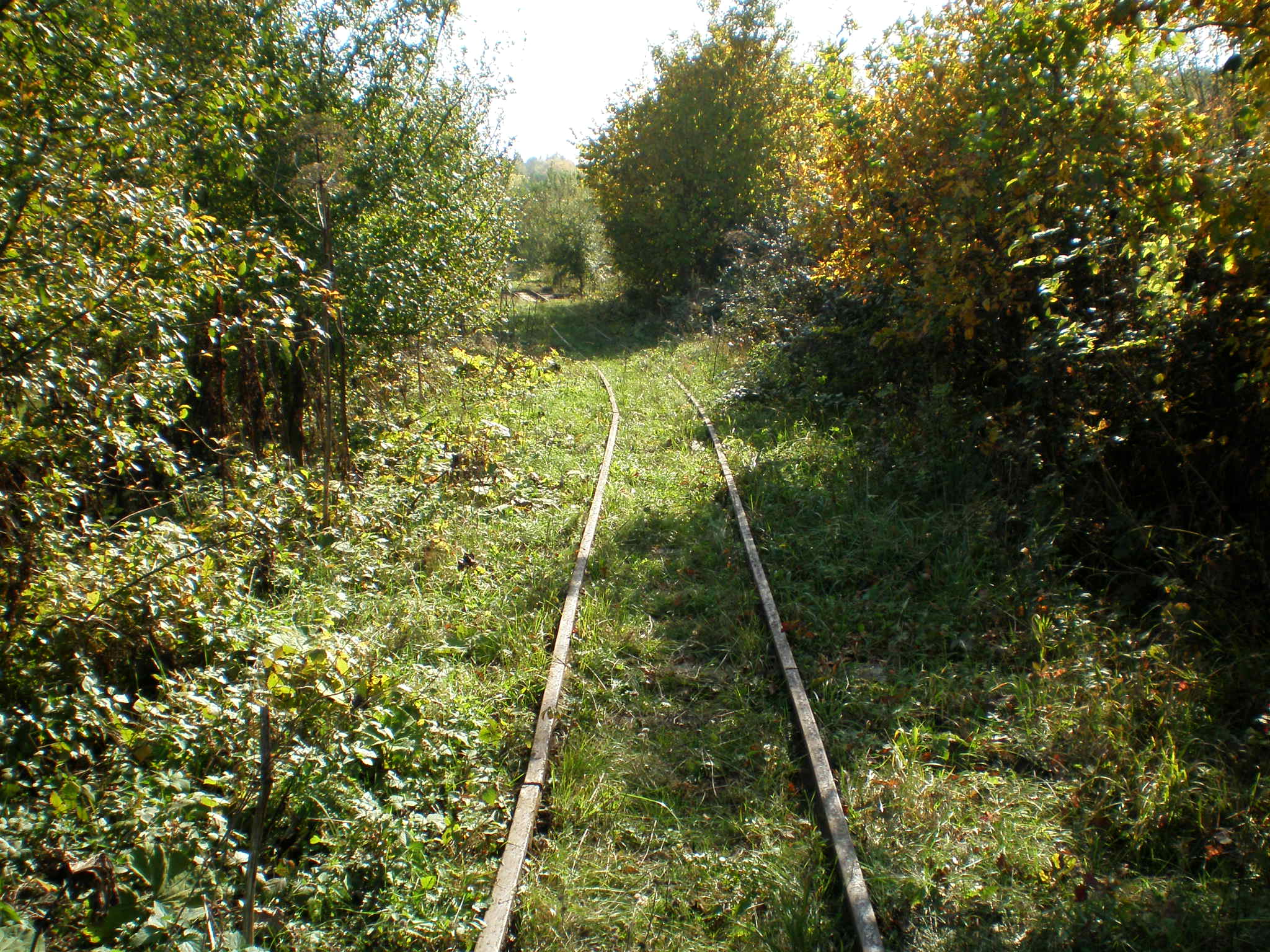 Апшеронская узкоколейная  железная дорога  —  фотографии, сделанные в 2007 году (часть 19)