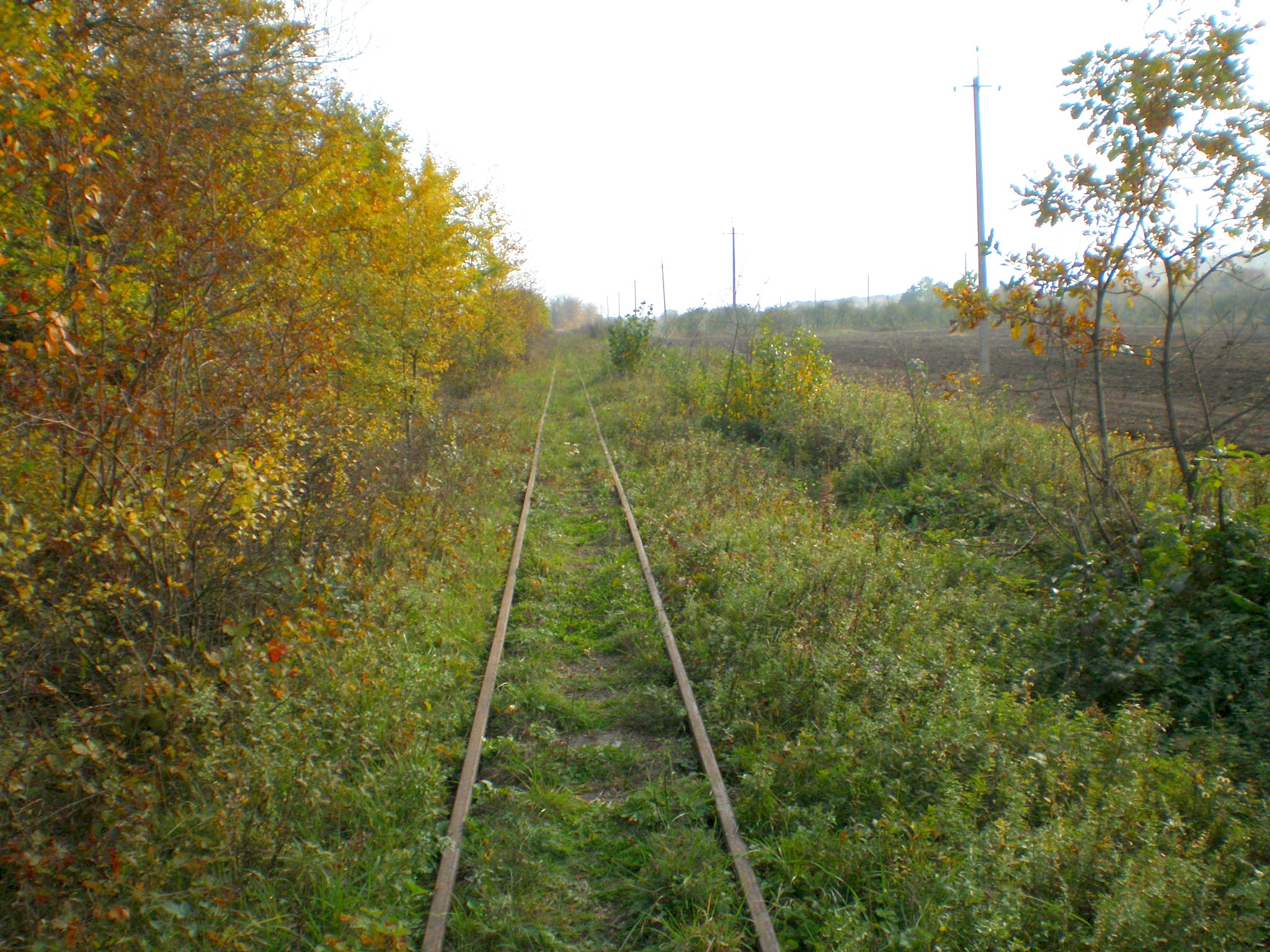 Апшеронская узкоколейная  железная дорога  —  фотографии, сделанные в 2007 году (часть 24)