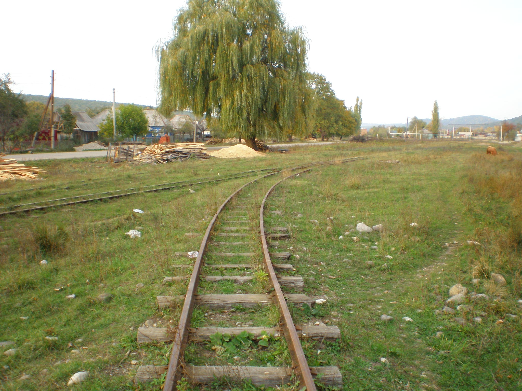 Апшеронская узкоколейная  железная дорога  —  фотографии, сделанные в 2007 году (часть 29)
