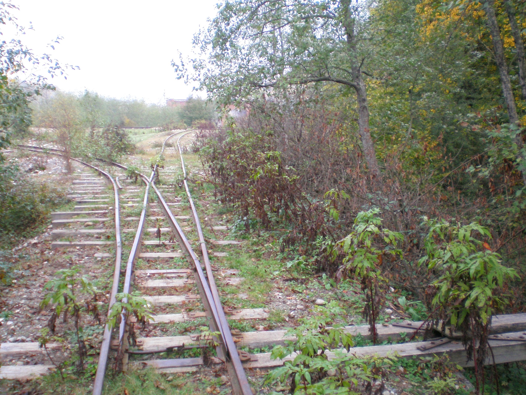 Апшеронская узкоколейная  железная дорога  —  фотографии, сделанные в 2007 году (часть 35)