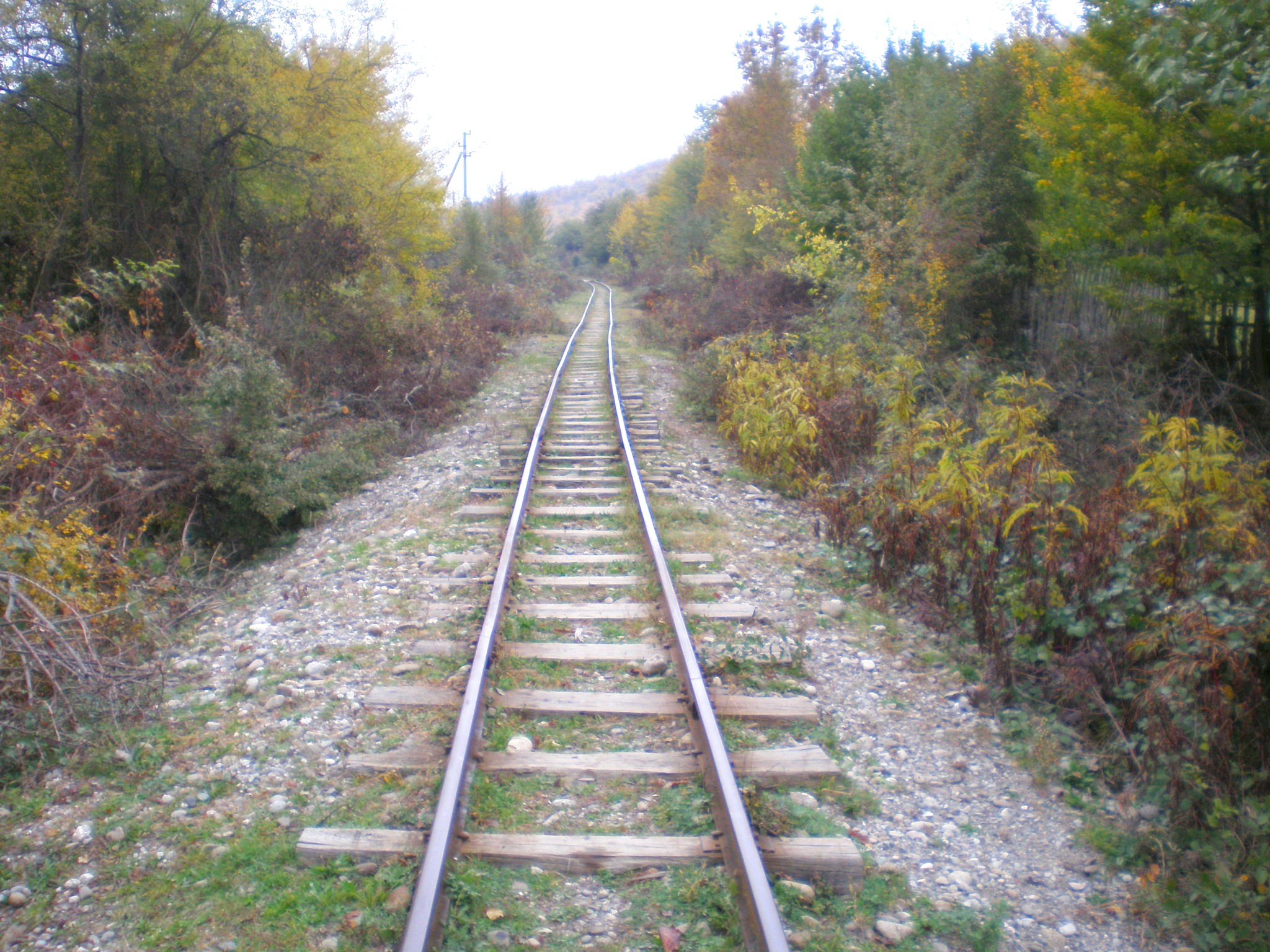 Апшеронская узкоколейная  железная дорога  —  фотографии, сделанные в 2007 году (часть 38)
