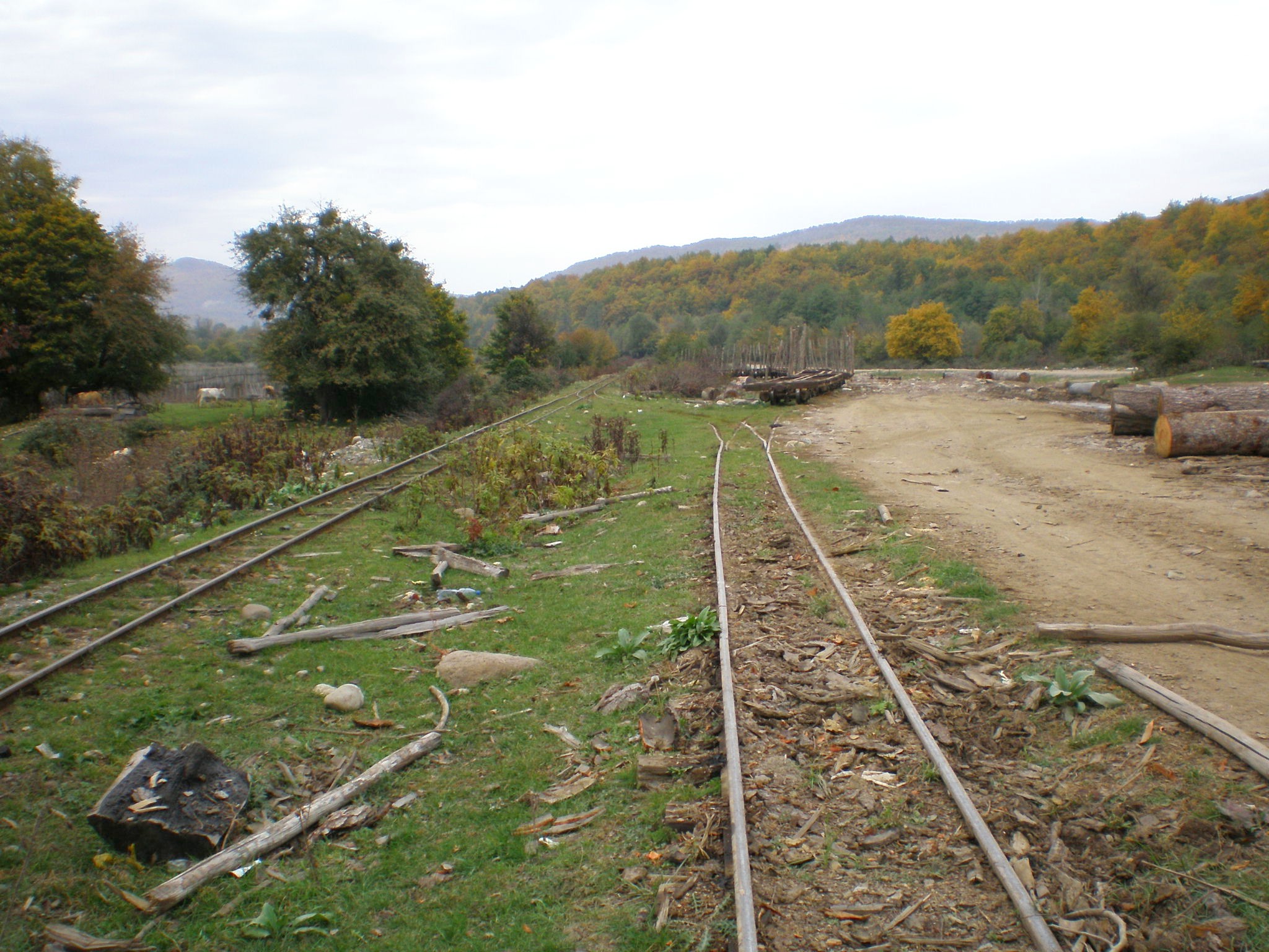 Апшеронская узкоколейная  железная дорога  —  фотографии, сделанные в 2007 году (часть 41)