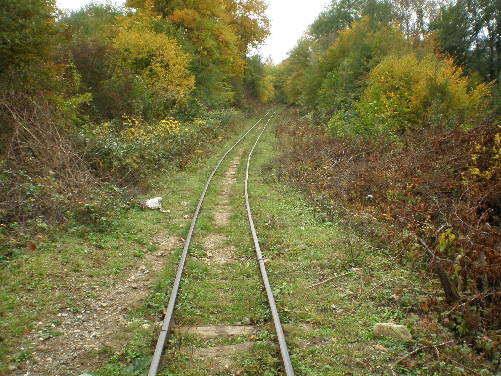 Апшеронская узкоколейная  железная дорога  —  фотографии, сделанные в 2007 году (часть 43)