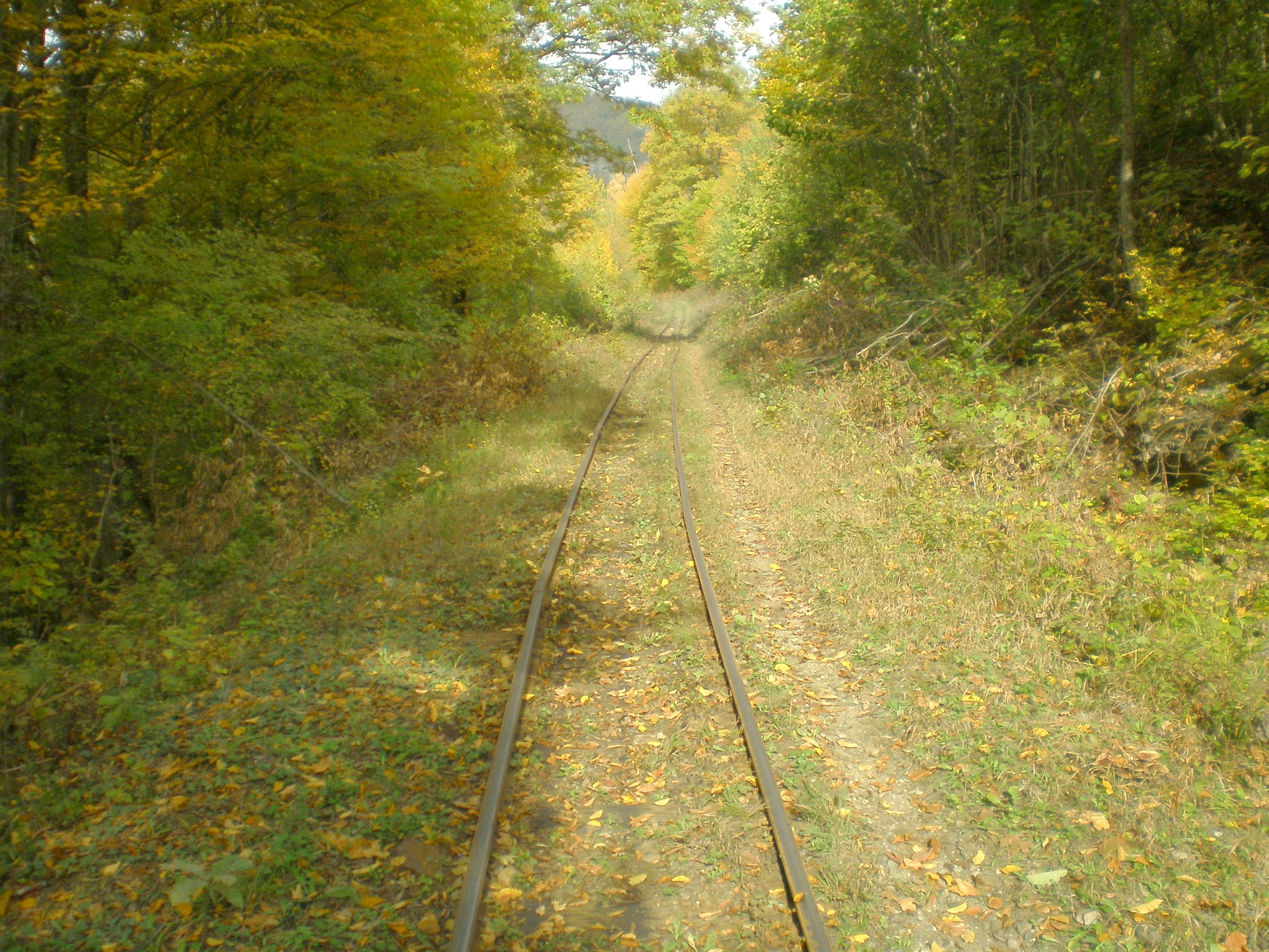 Апшеронская узкоколейная  железная дорога  —  фотографии, сделанные в 2007 году (часть 45)