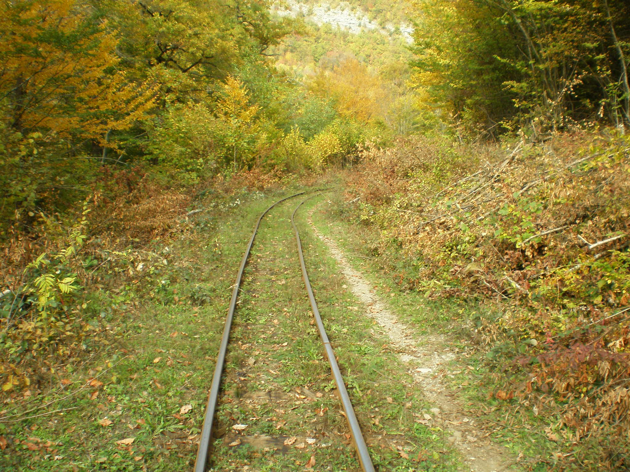 Апшеронская узкоколейная  железная дорога  —  фотографии, сделанные в 2007 году (часть 46)