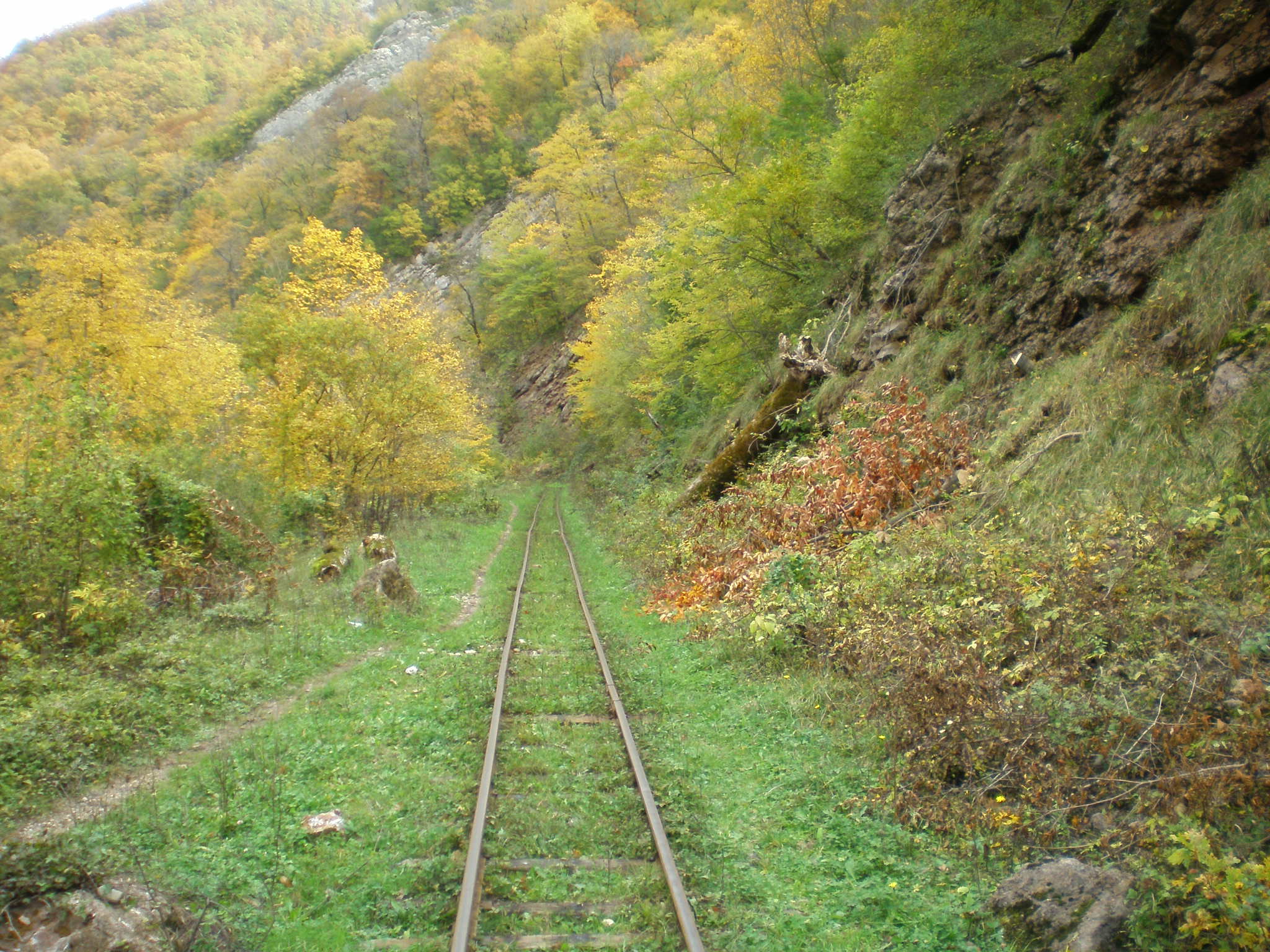 Апшеронская узкоколейная  железная дорога  —  фотографии, сделанные в 2007 году (часть 47)