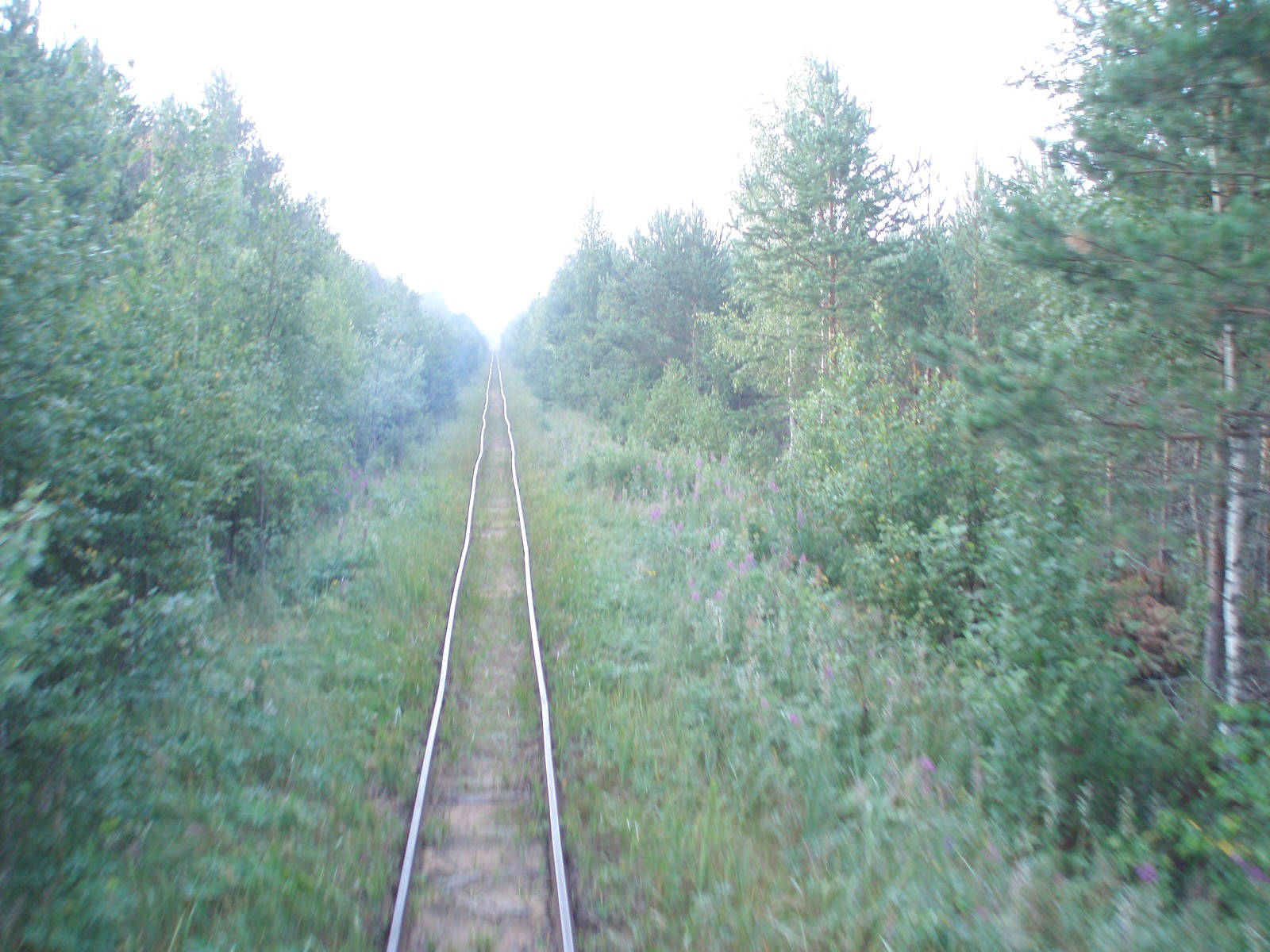 Узкоколейная железная дорога Кушаверского торфопредприятия  - фотографии (часть 5)