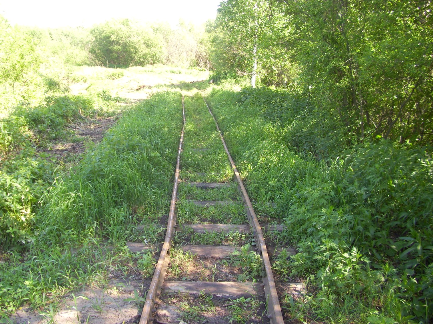 Узкоколейная железная дорога Каринского транспортного управления — фотографии, сделанные в 2012 году (часть 23)