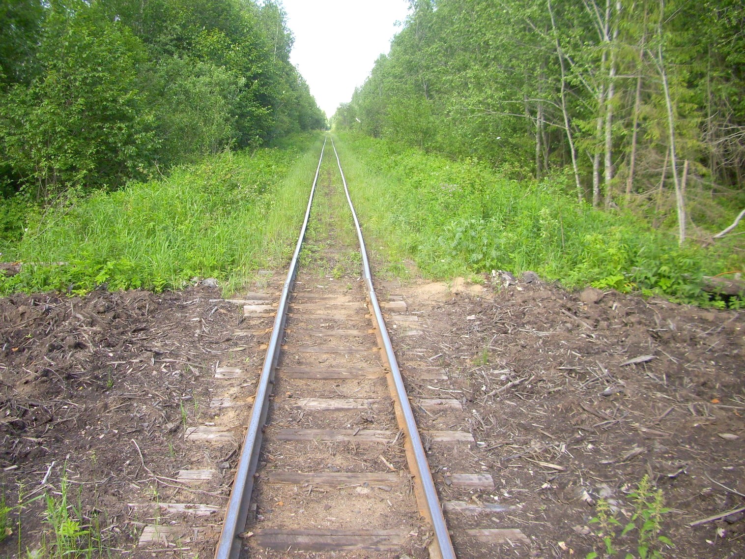 Узкоколейная железная дорога Каринского транспортного управления — фотографии, сделанные в 2012 году (часть 24)