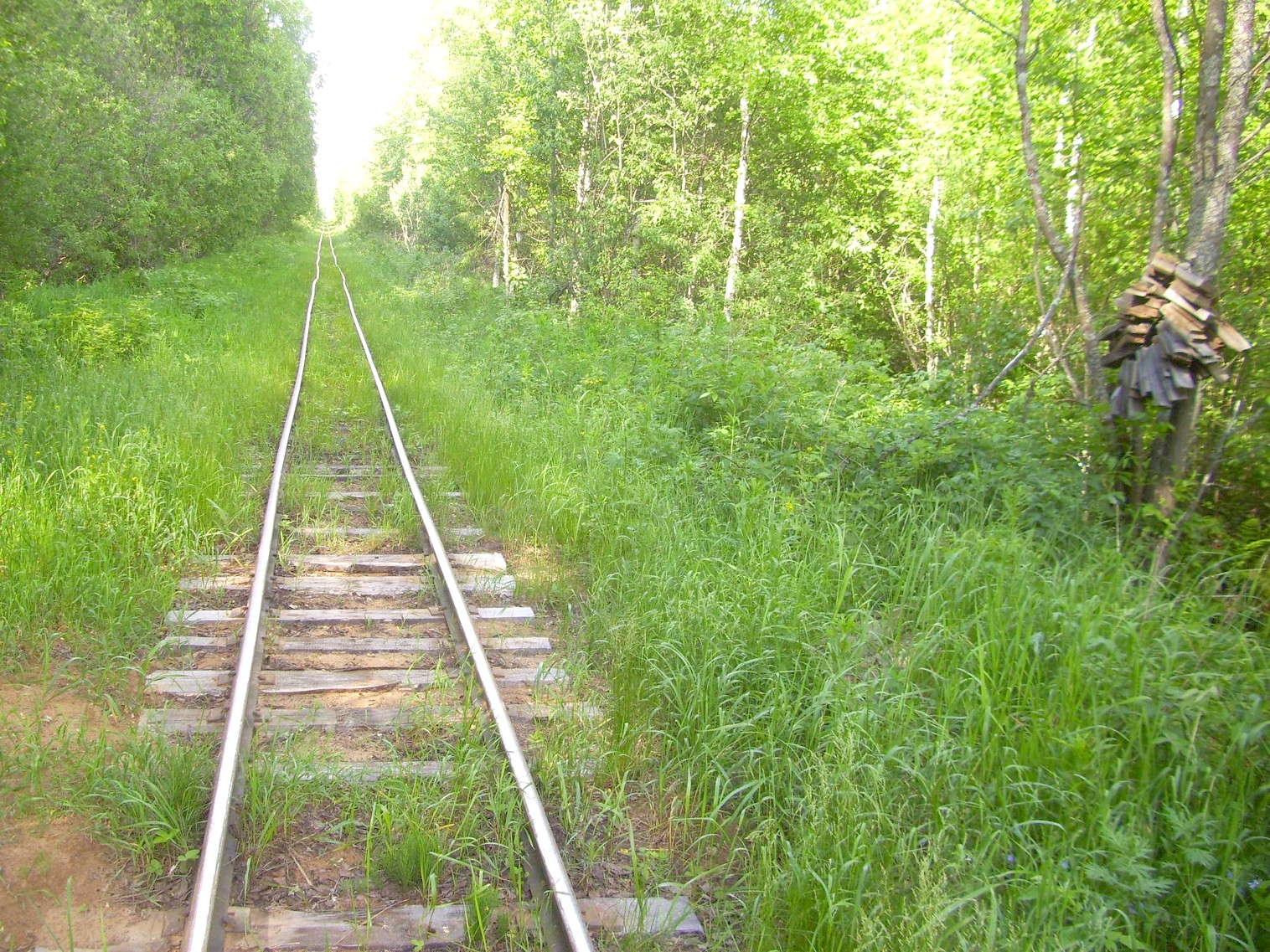 Узкоколейная железная дорога Каринского транспортного управления — фотографии, сделанные в 2012 году (часть 25)