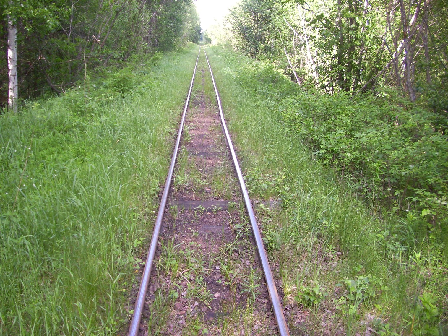 Узкоколейная железная дорога Каринского транспортного управления — фотографии, сделанные в 2012 году (часть 26)
