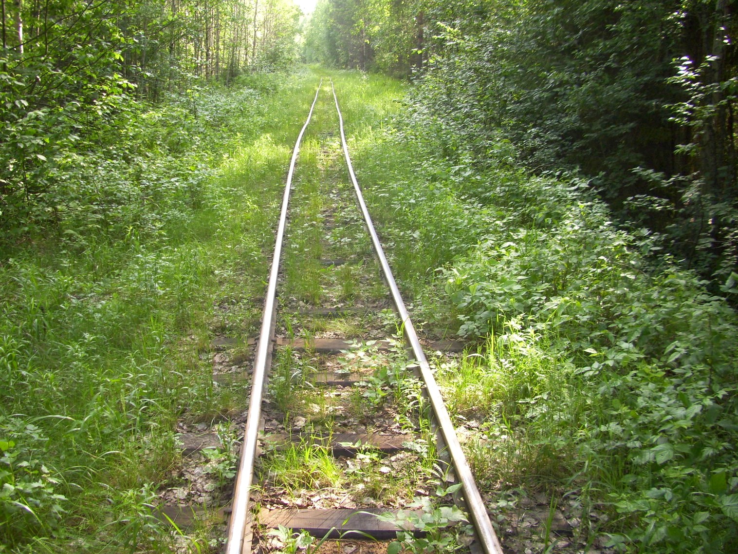 Узкоколейная железная дорога Каринского транспортного управления — фотографии, сделанные в 2012 году (часть 27)