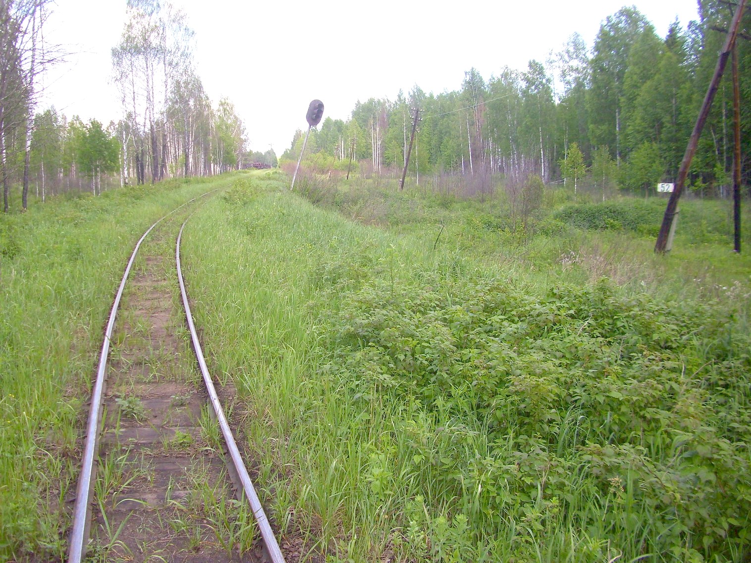Узкоколейная железная дорога Каринского транспортного управления — фотографии, сделанные в 2012 году (часть 28)