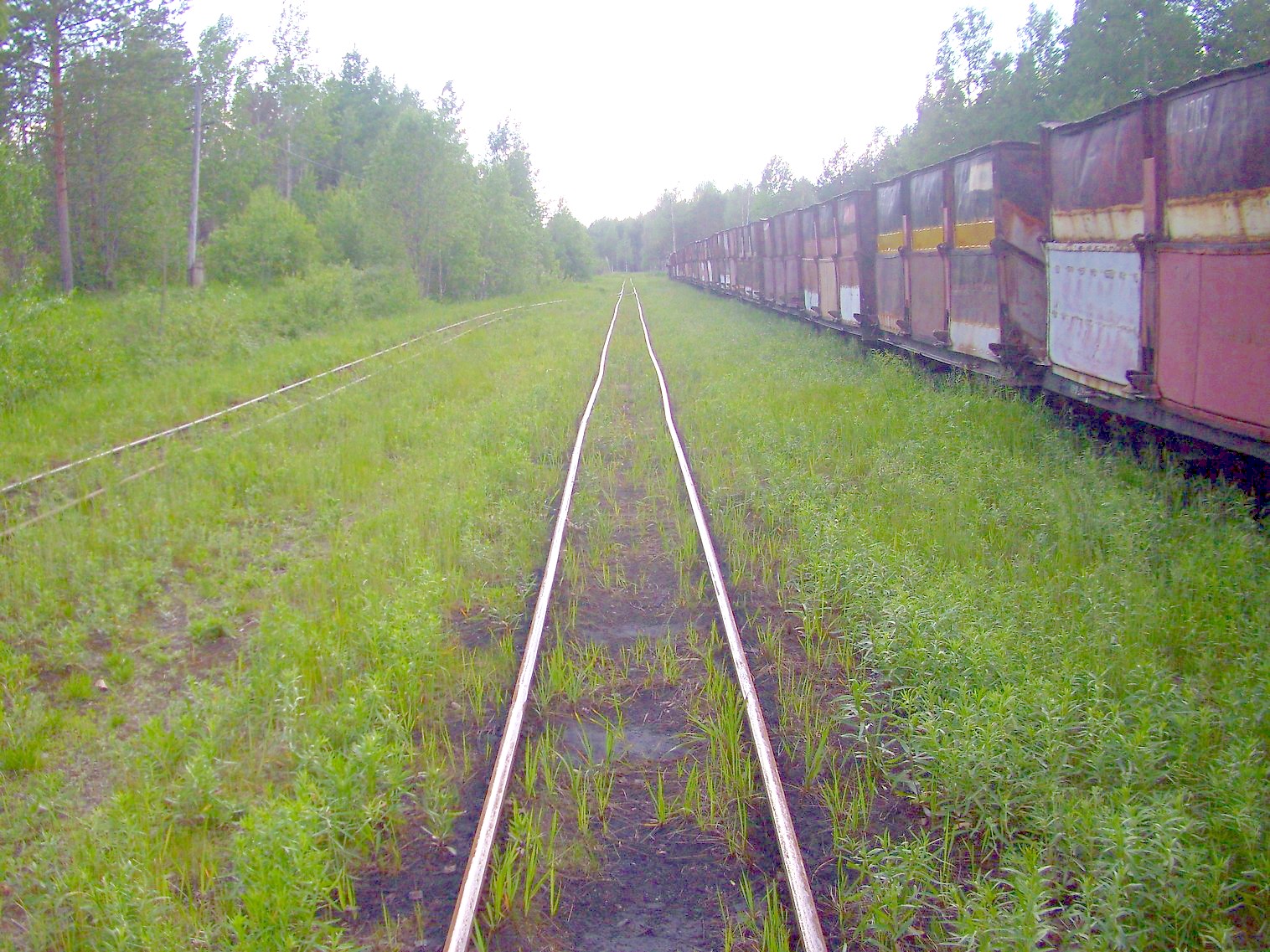 Узкоколейная железная дорога Каринского транспортного управления — фотографии, сделанные в 2012 году (часть 29)