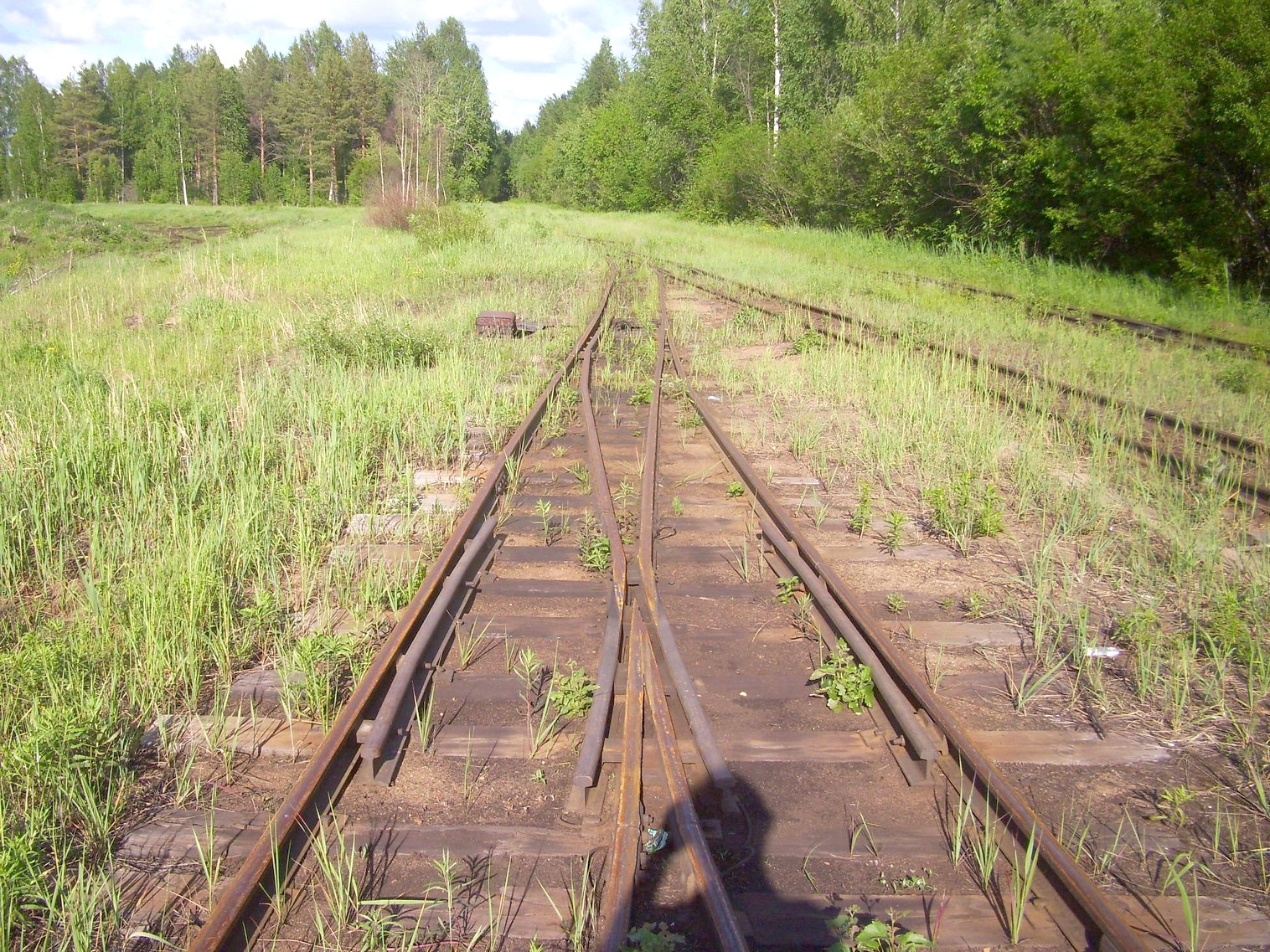 Узкоколейная железная дорога Каринского транспортного управления — фотографии, сделанные в 2012 году (часть 30)