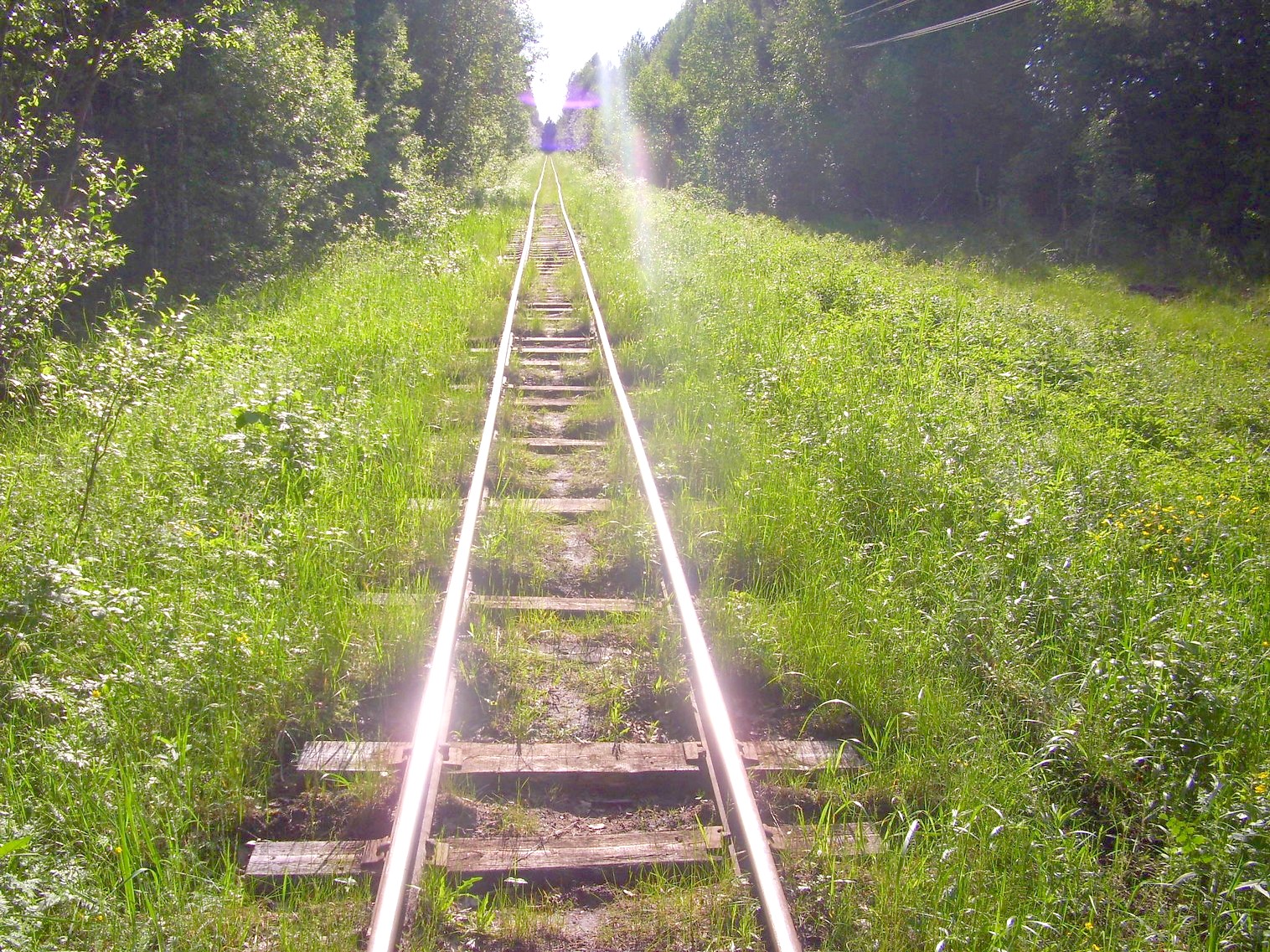 Узкоколейная железная дорога Каринского транспортного управления — фотографии, сделанные в 2012 году (часть 31)
